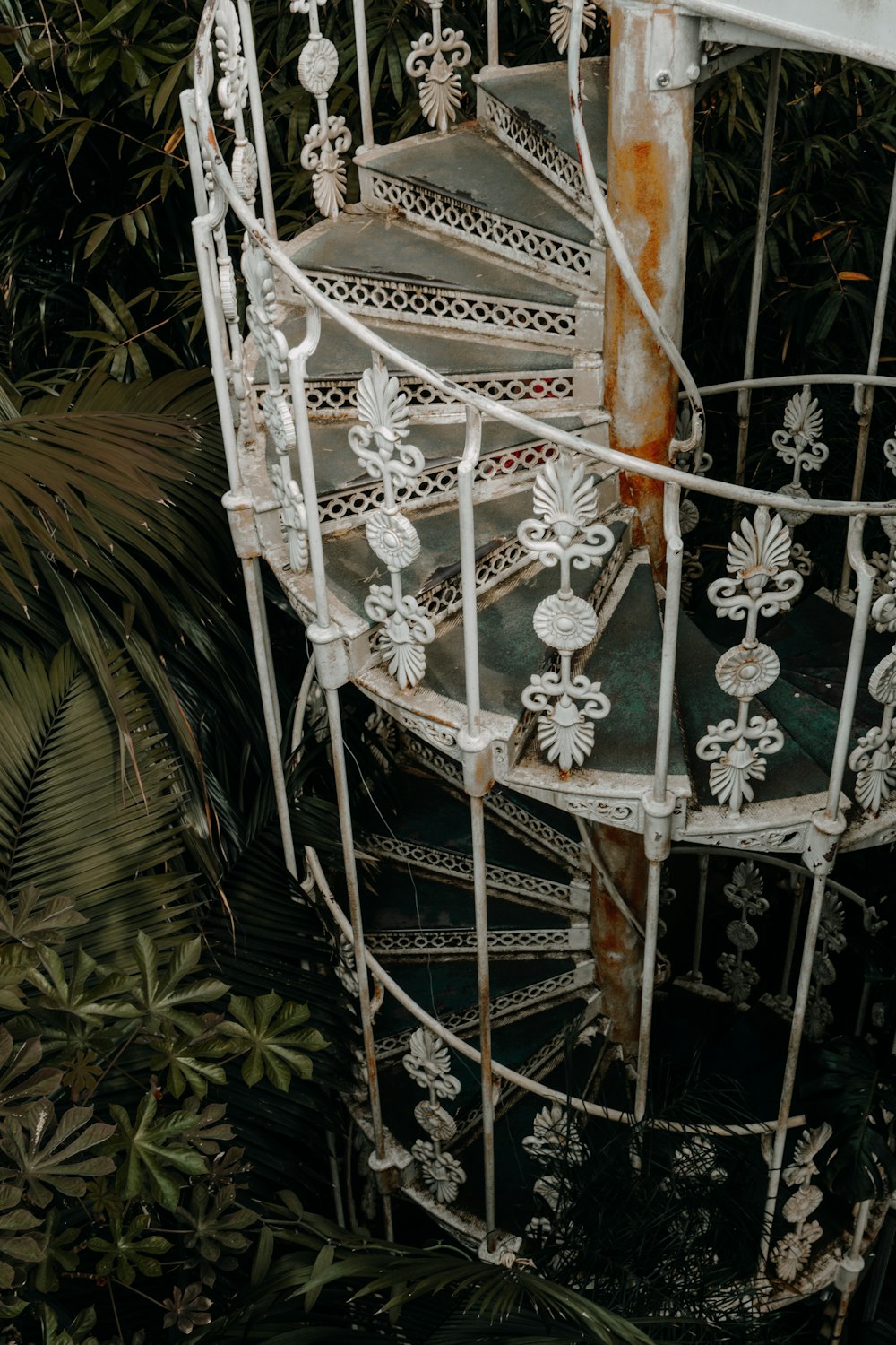 a spiral staircase in the middle of a forest