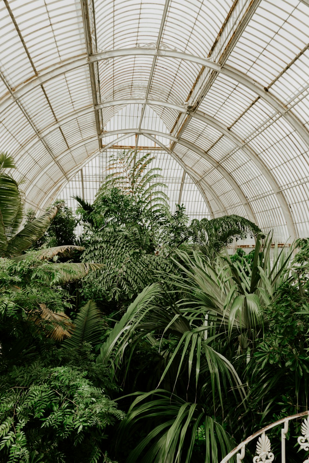 the inside of a greenhouse with lots of trees and plants