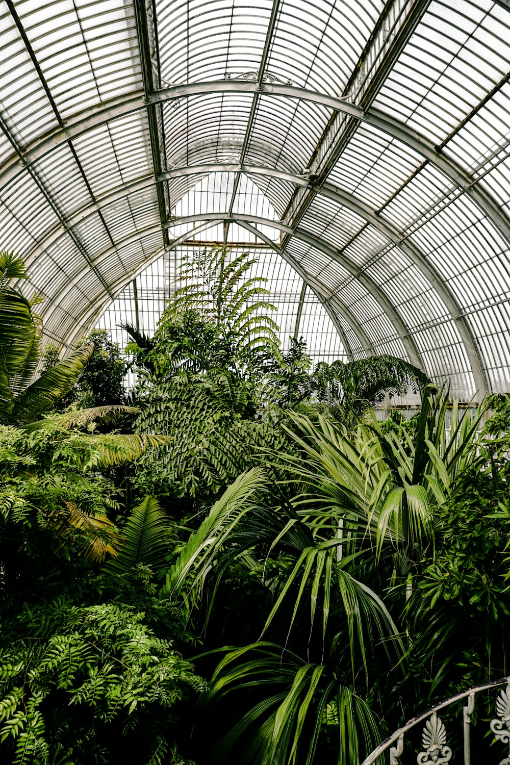 the inside of a greenhouse with lots of plants