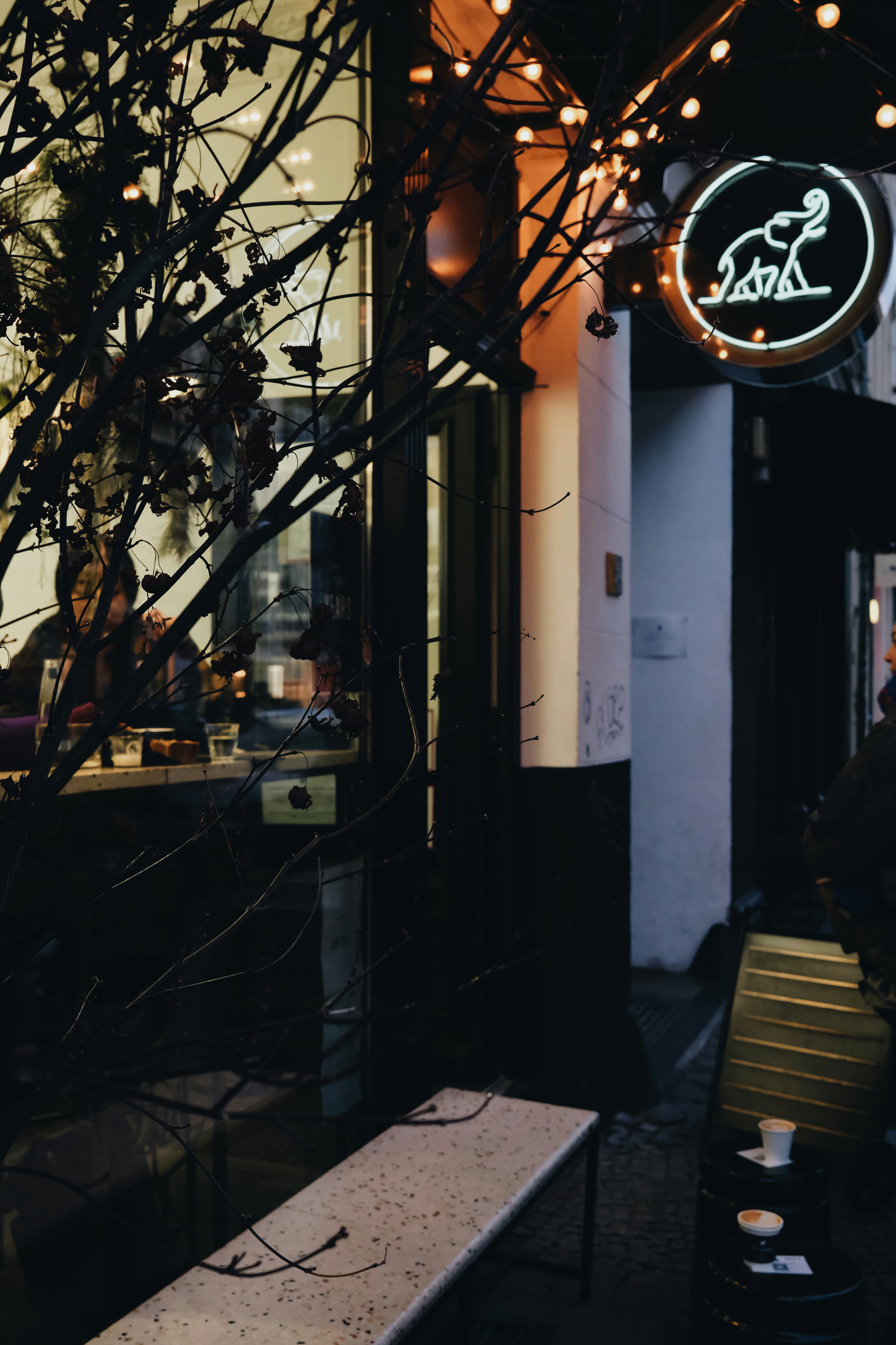 Photo by cherenkevich