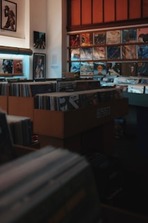 Rows of vinyl records reflecting warm light in a dim room.
