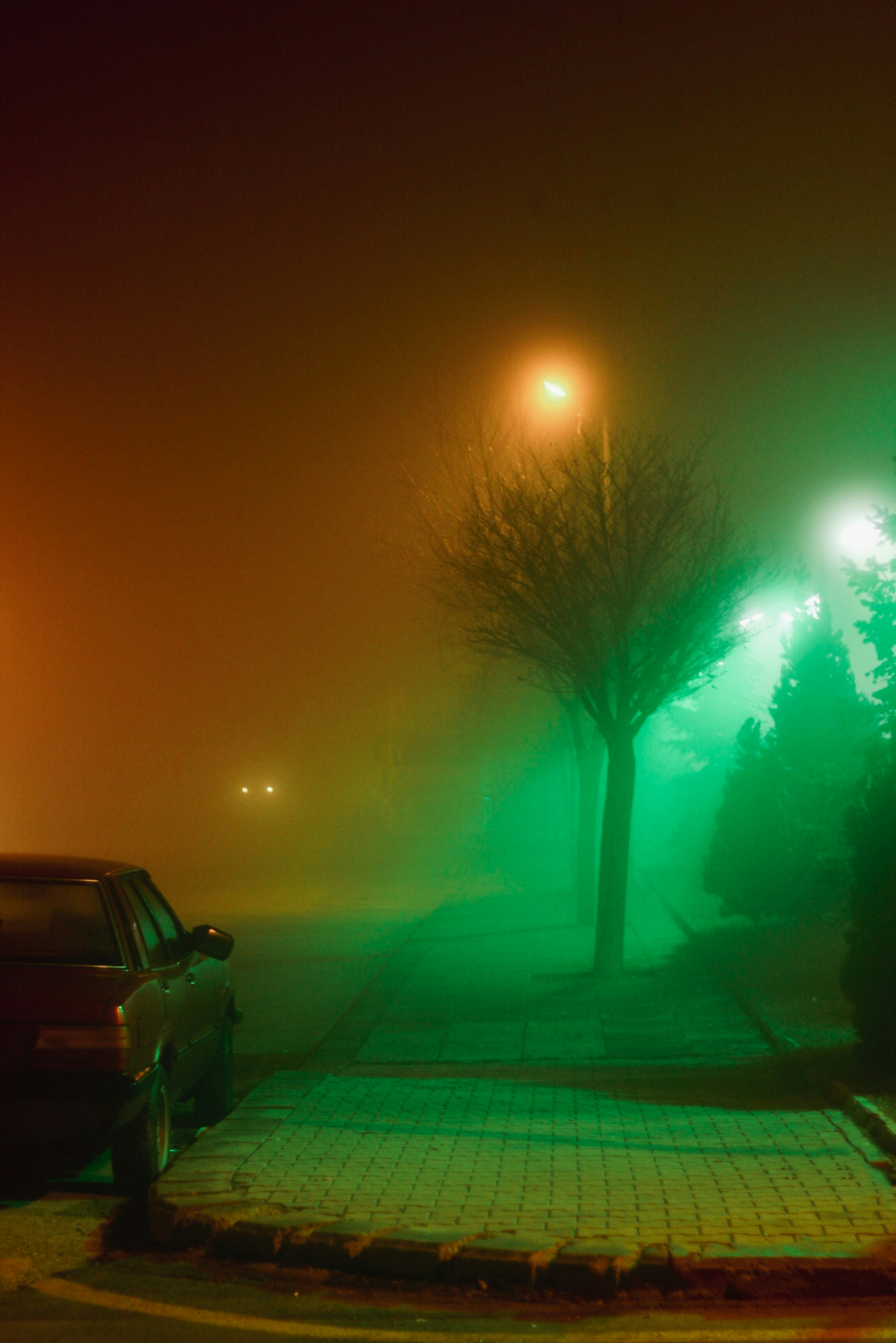 Photo by esrakorkmaz