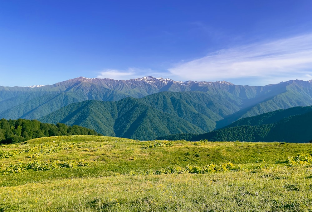 a grassy field with mountains in the background