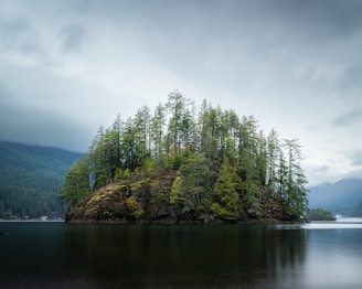 a small island in the middle of a lake