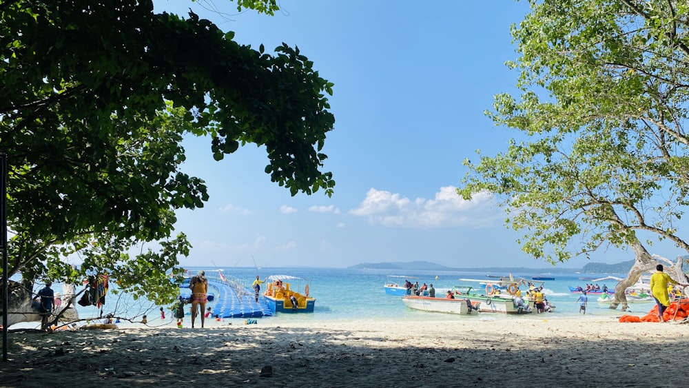 a group of people standing on top of a sandy beach