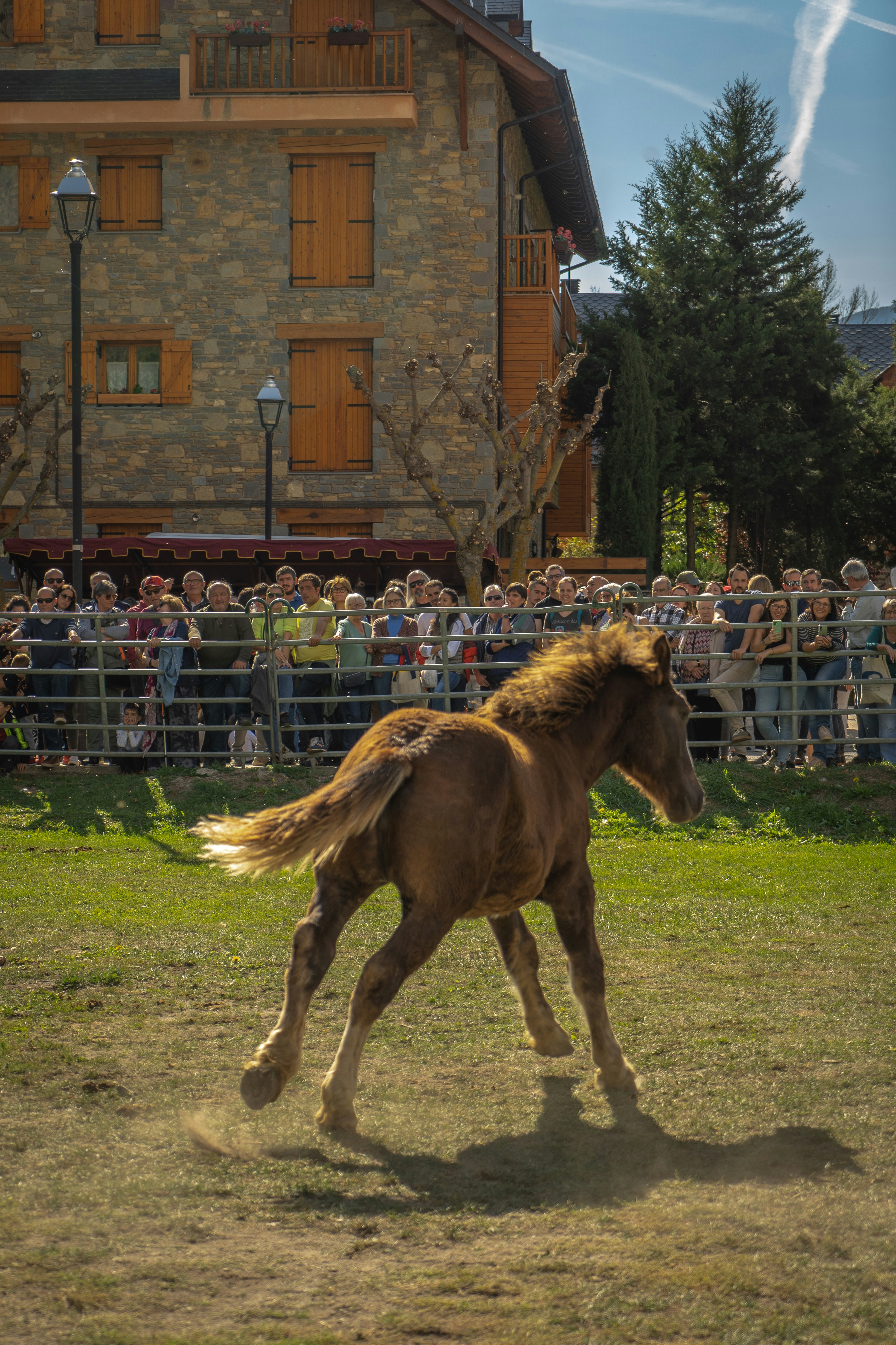 a brown horse running in front of a crowd of people