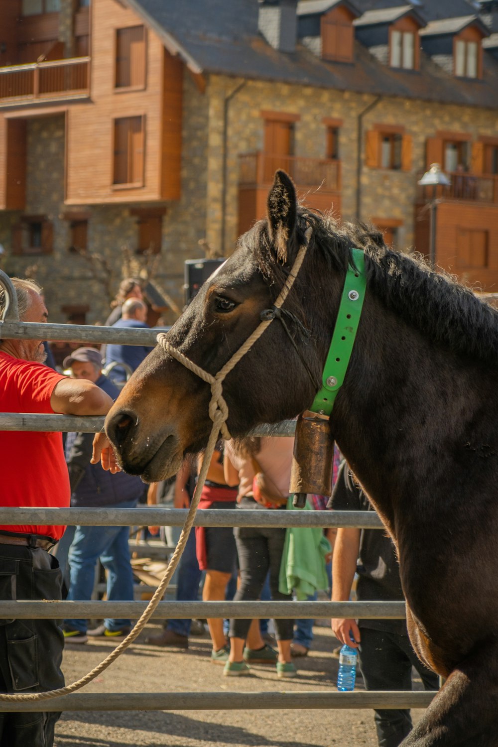 a man in a red shirt is petting a horse