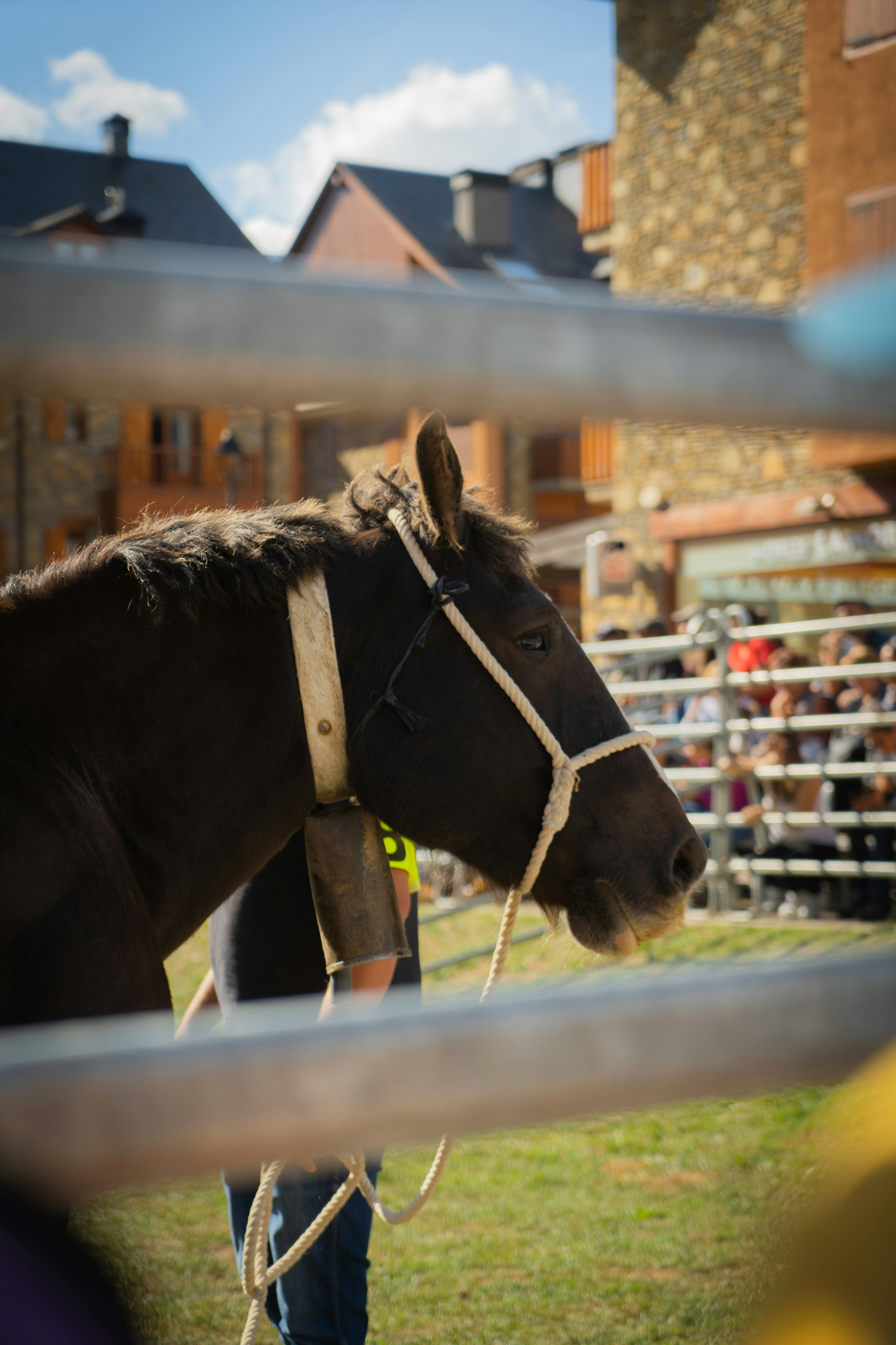 a brown horse standing next to a metal fence