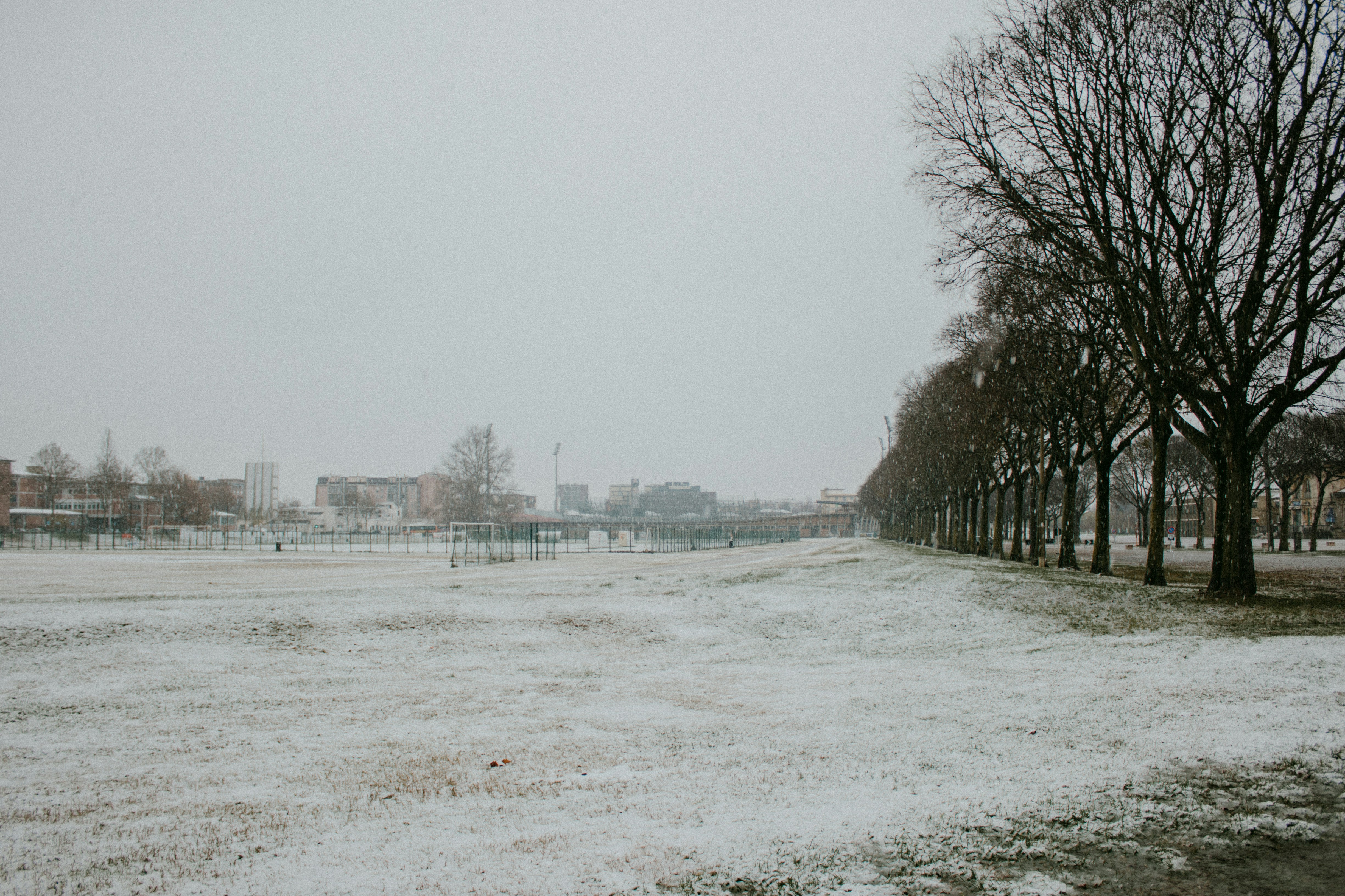 Elysian Field