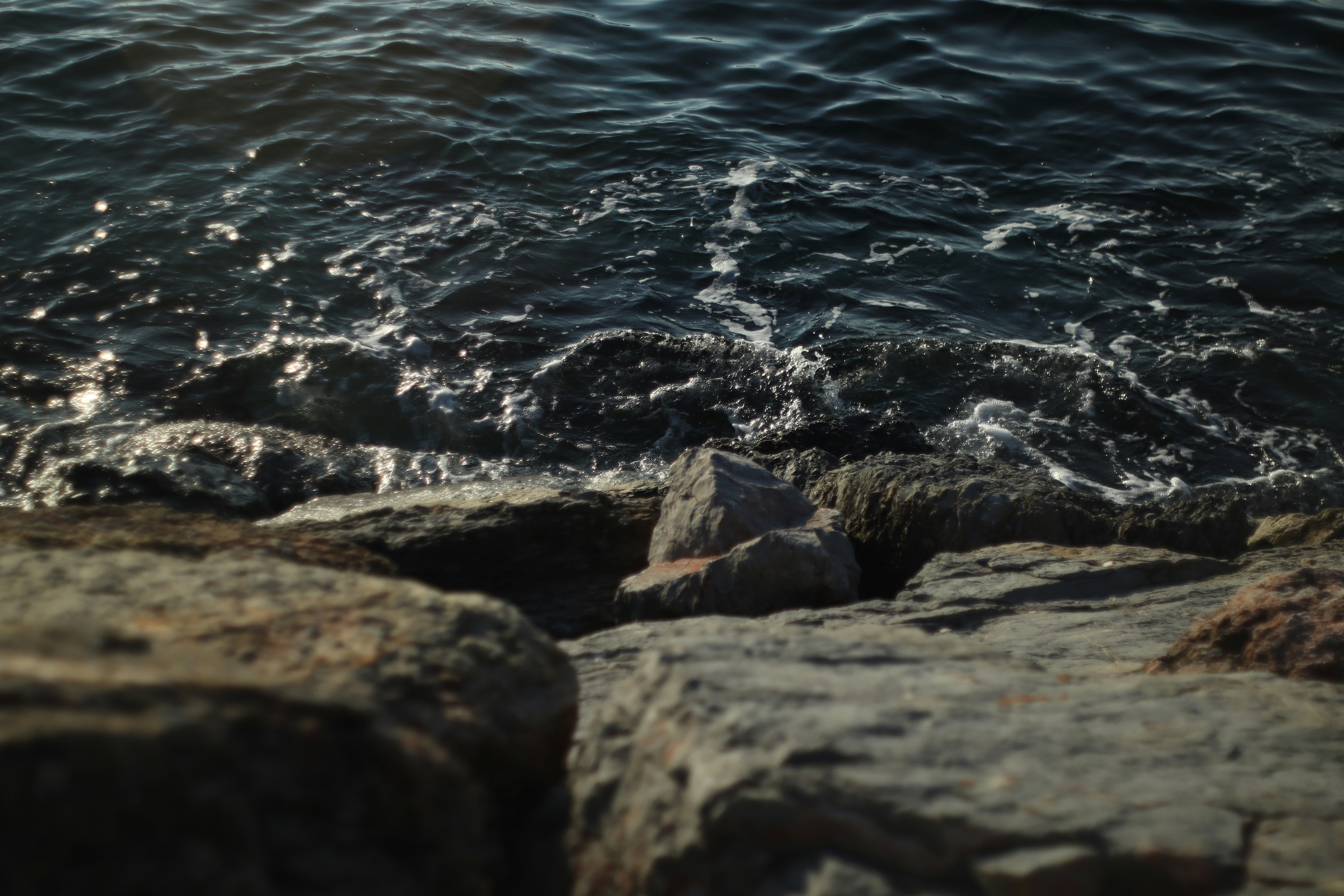 Photo by makakakakala