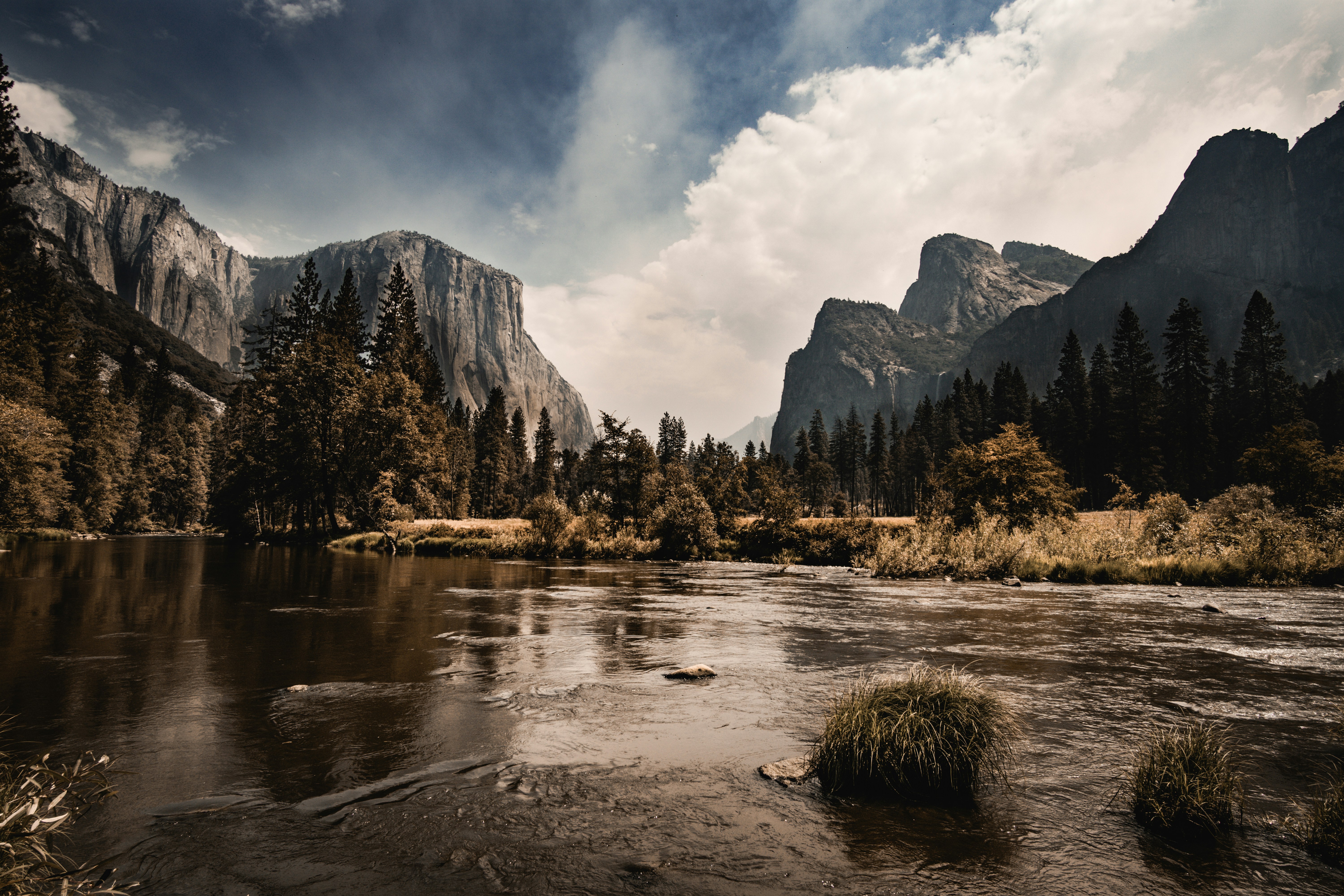 Photo by bossoptics