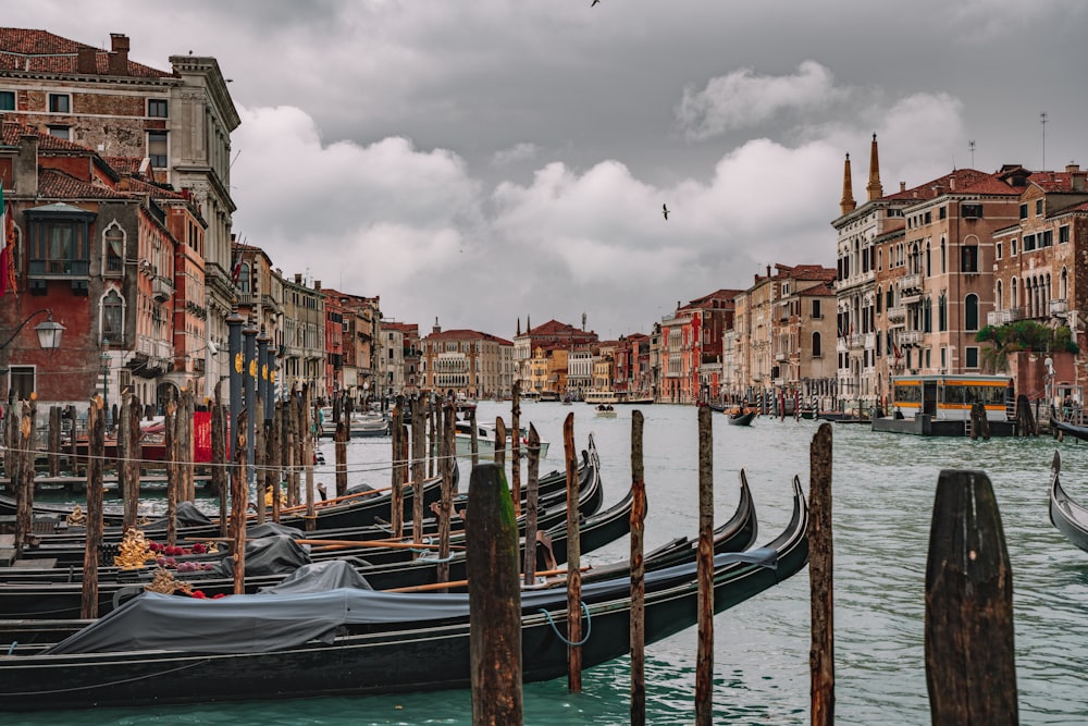 a bunch of gondolas that are sitting in the water