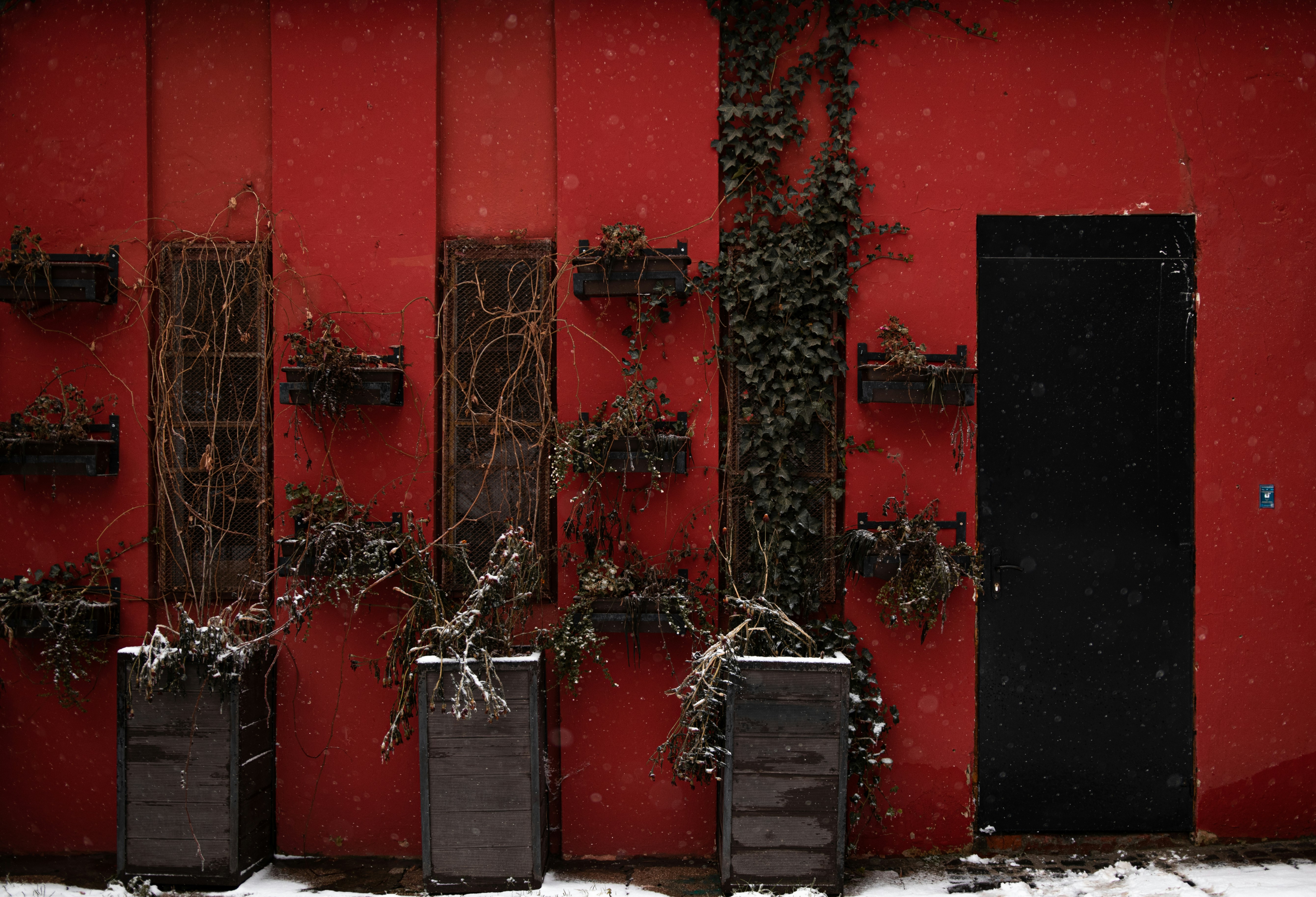 a red building with a bunch of plants growing out of it