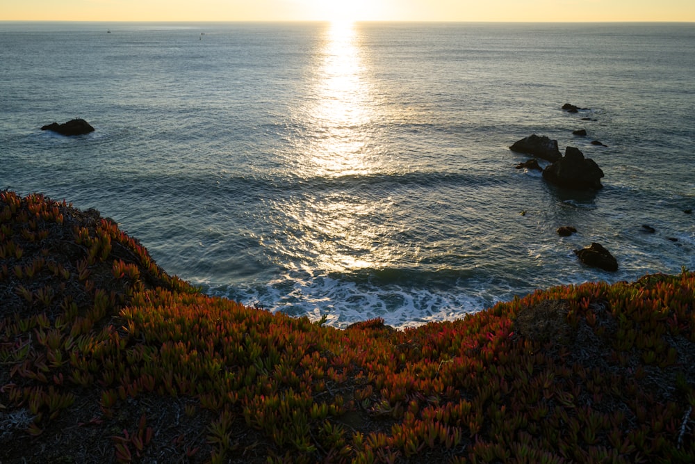 the sun is setting over the ocean on the coast