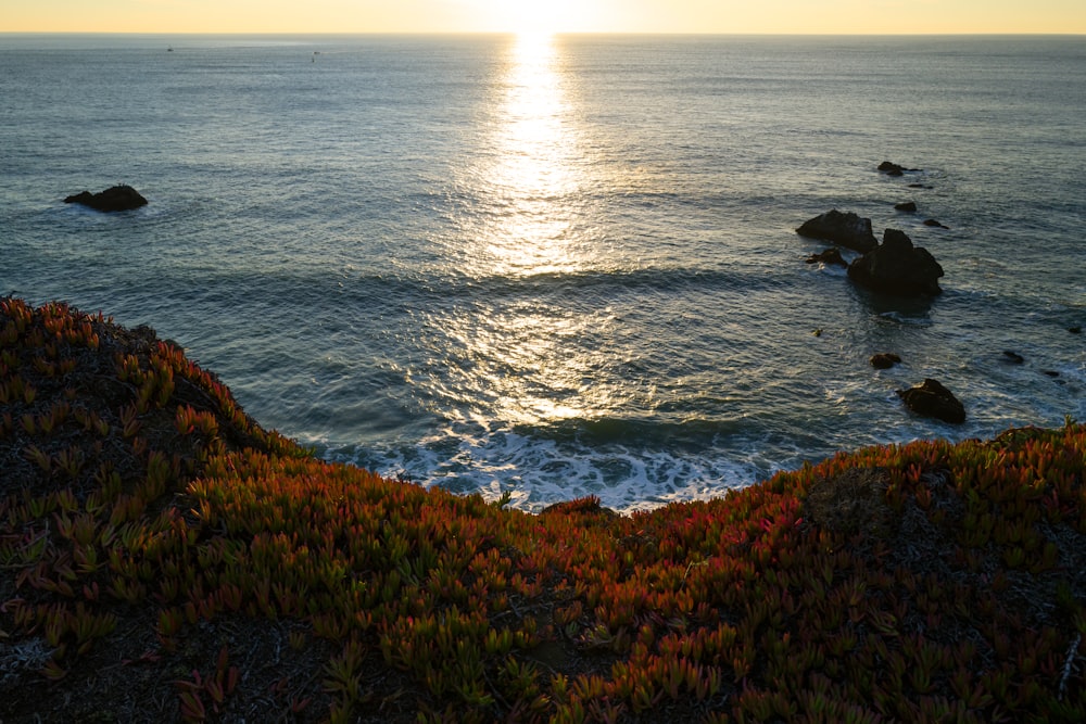 El sol se está poniendo sobre el océano en la costa