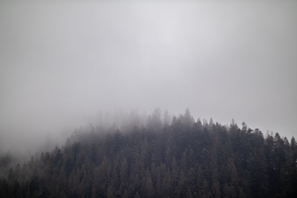 a mountain covered in fog and trees on a cloudy day