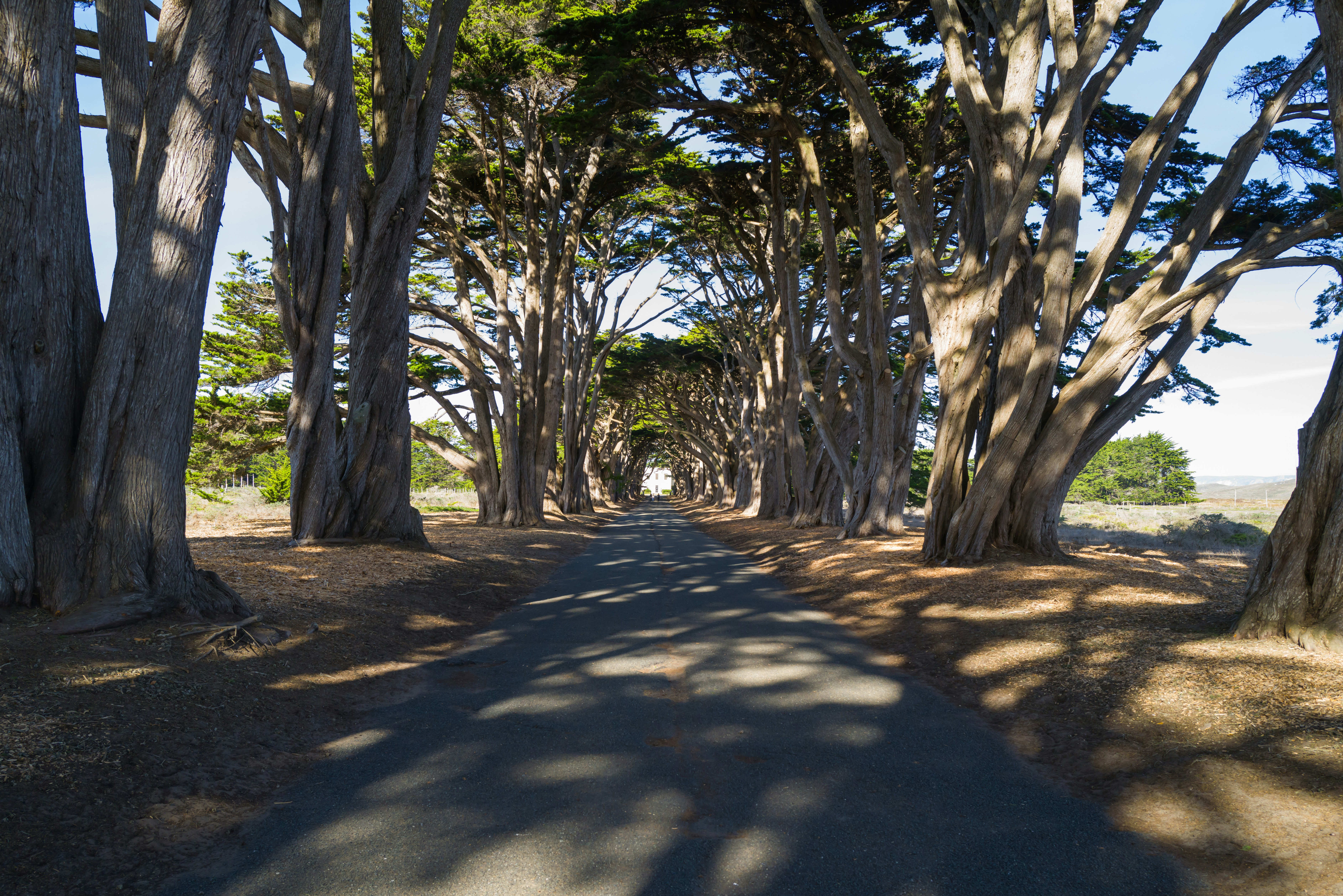 Photo by georgeiermann