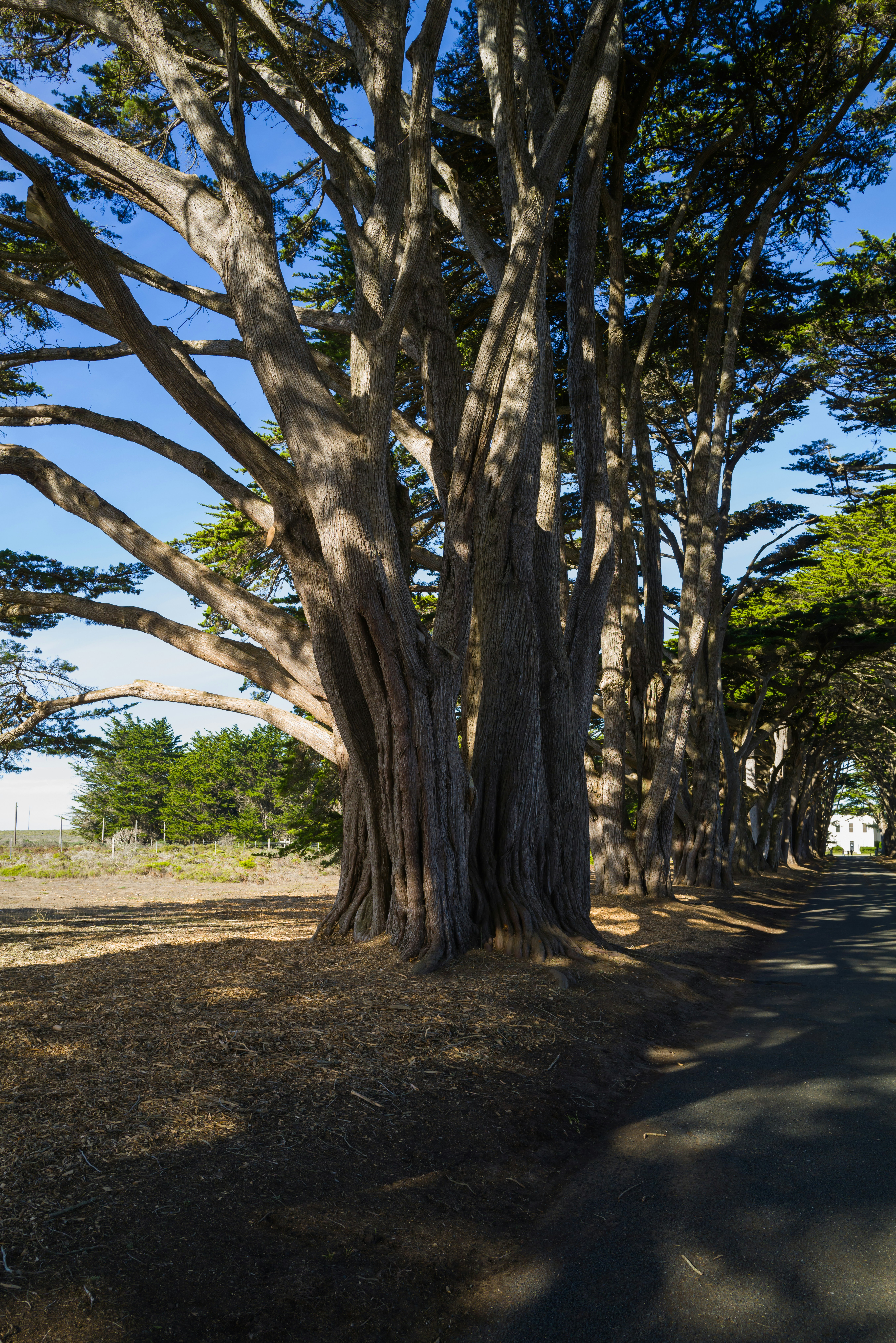 Photo by georgeiermann