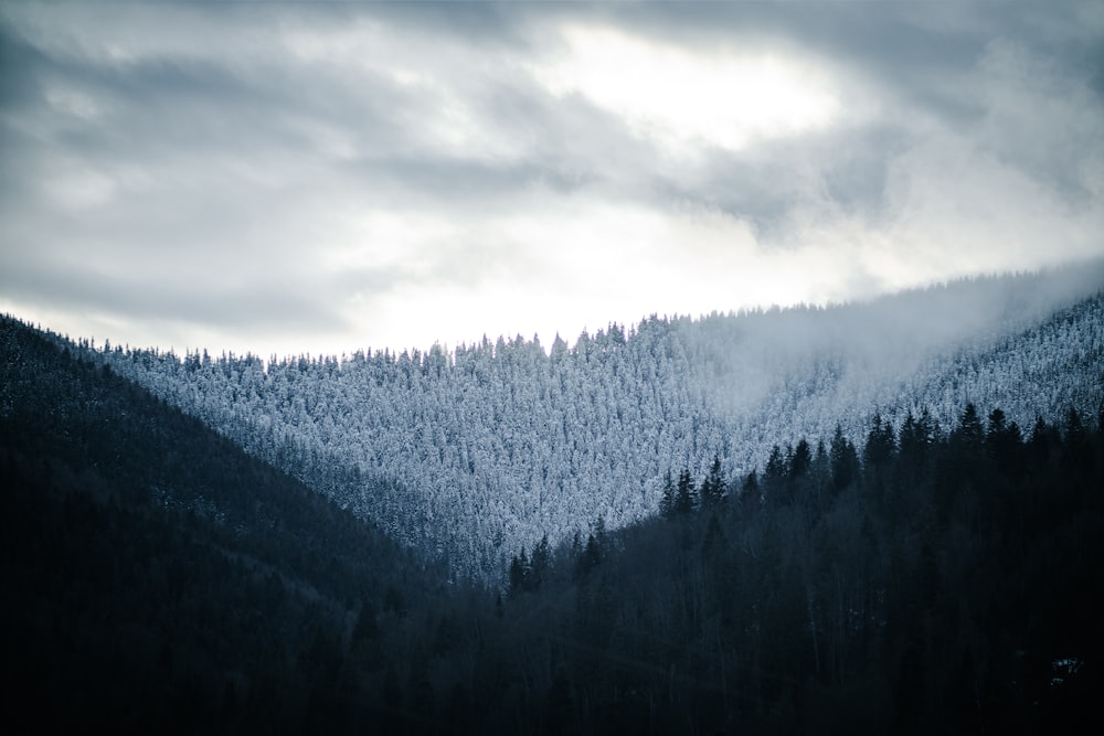 a mountain covered in trees under a cloudy sky