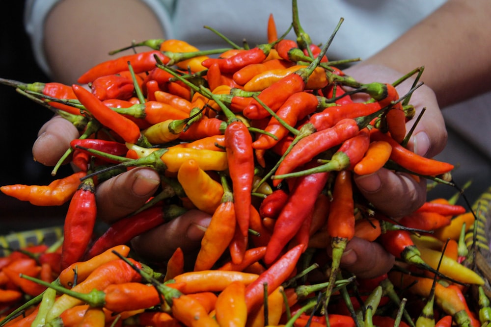 a person holding a pile of red and yellow peppers