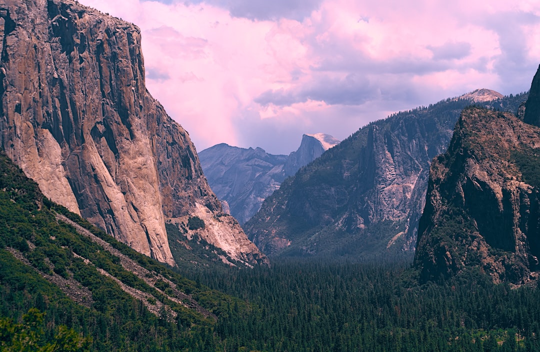 Yosemite Insider