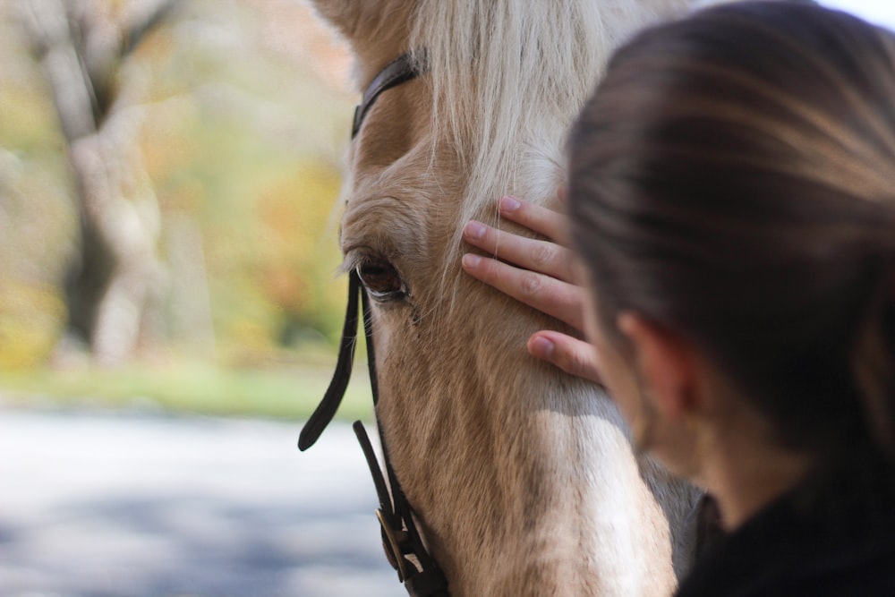 a close up of a person petting a horse