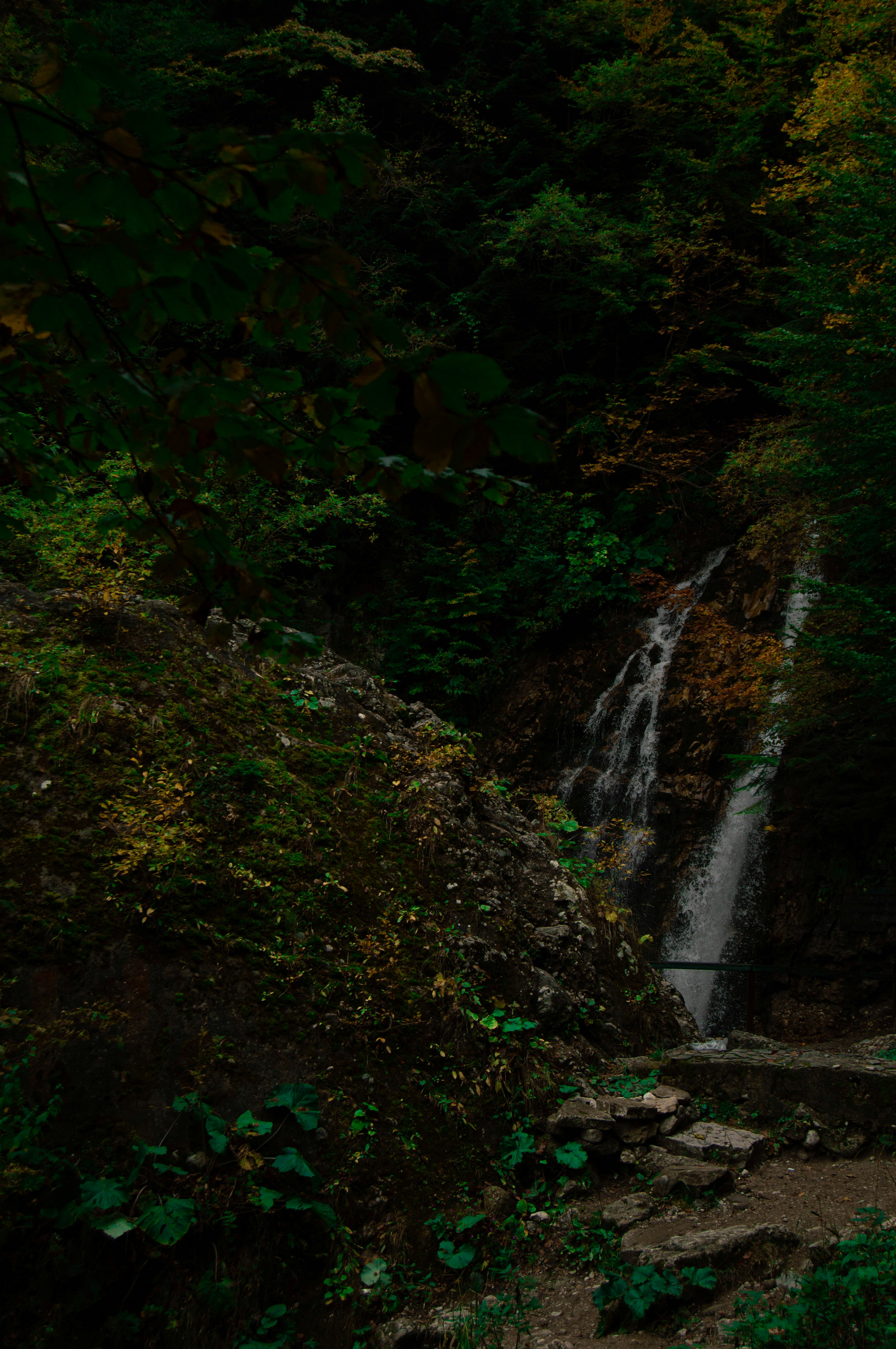 Photo by panaphotography