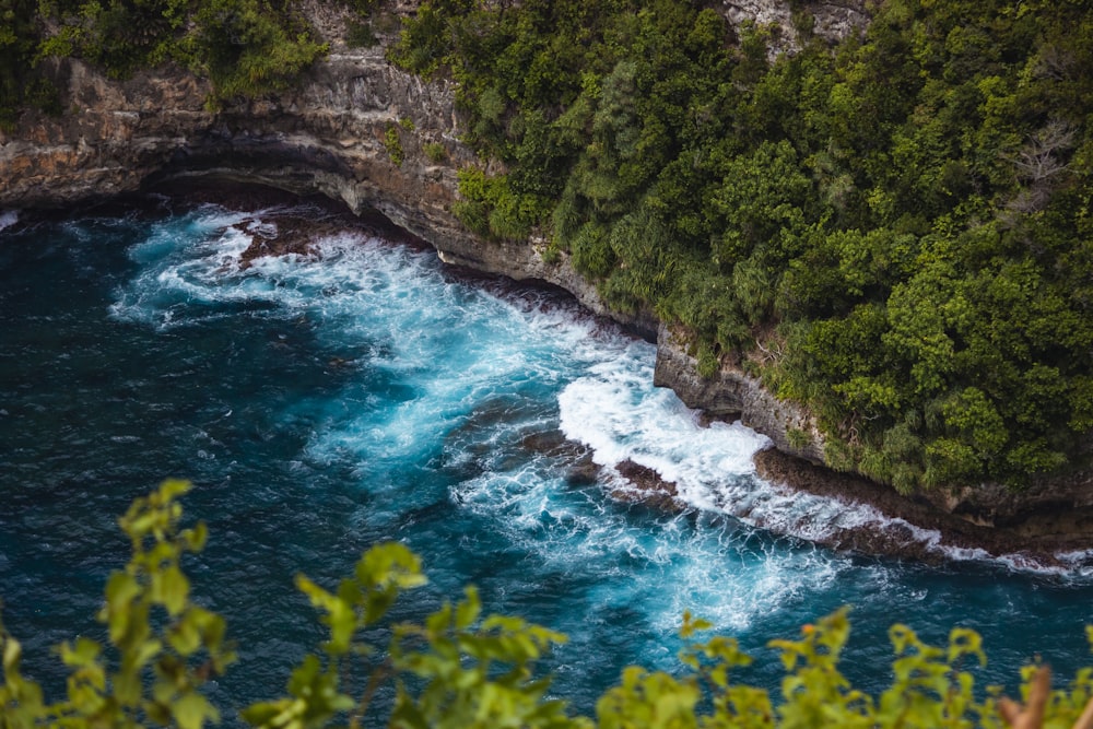 a large body of water surrounded by lush green trees