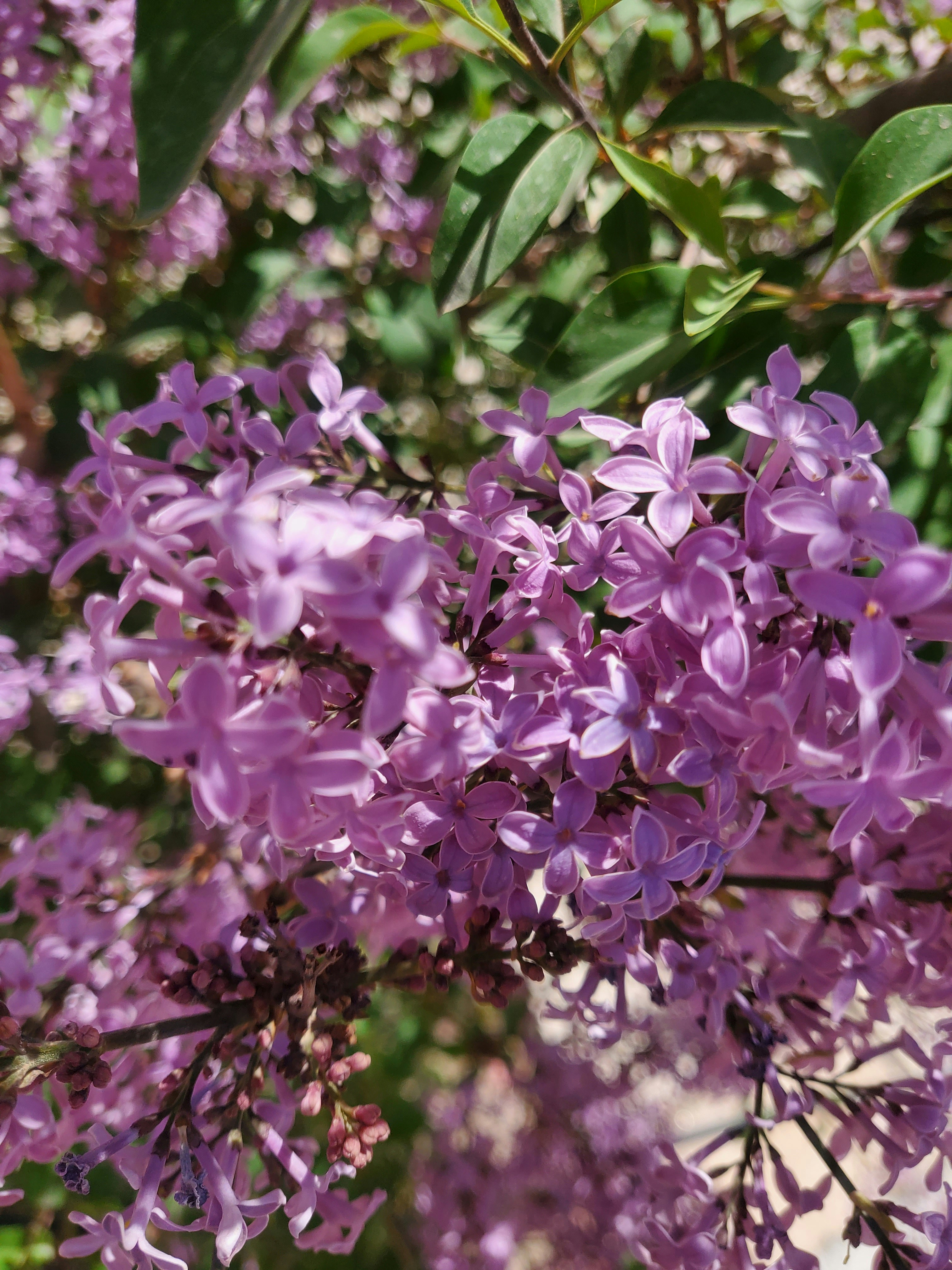 Photo by gelarehnotashi