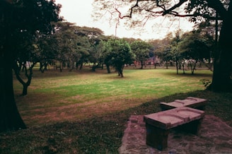 A tranquil setting with trees and open areas ideal for relaxation.