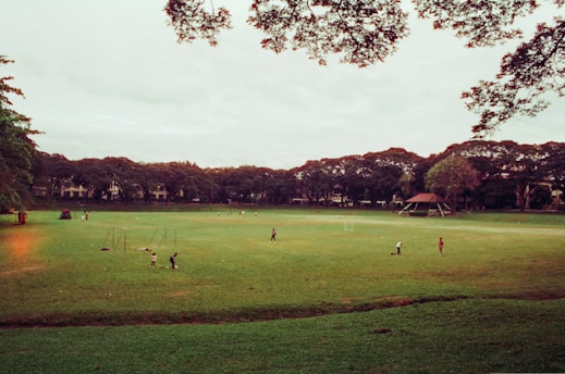 A spacious, grassy field with a few scattered individuals playing or walking. Surrounding the field is a line of dense trees. There are some structures like goal posts and shelters in the distance.