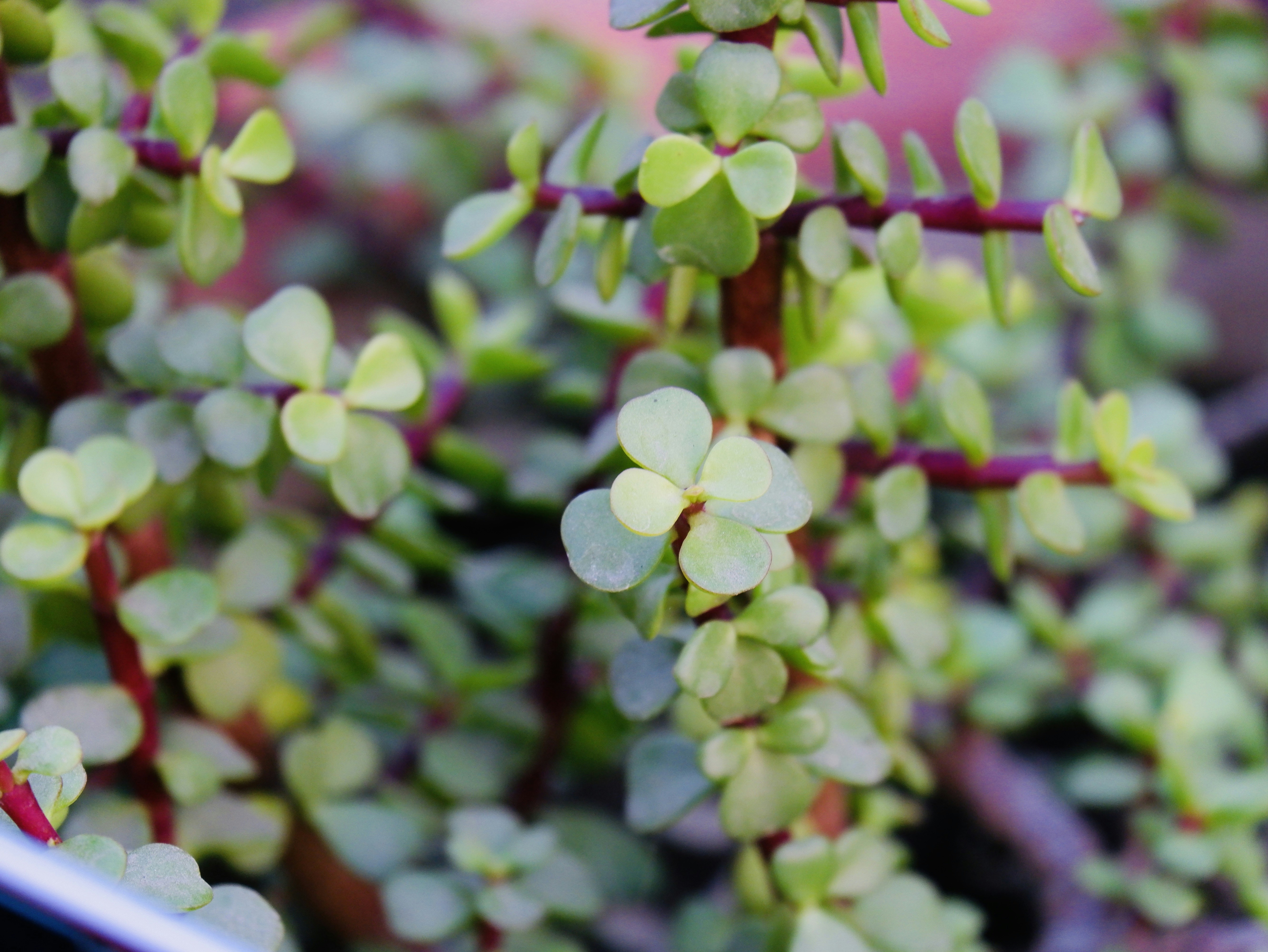 Photo by rakshityadav190