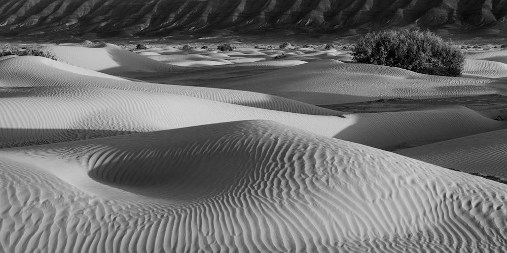 a black and white photo of sand dunes