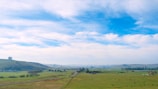 Wide shot of rolling pasturelands dotted with wagyu cattle and scattered trees under soft afternoon light.