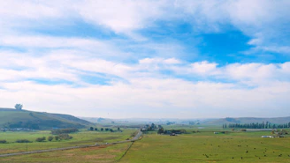 Wide shot of a preserved Texas ranch landscape with grazing cattle and rolling hills.