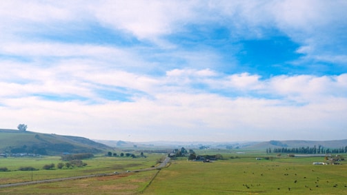 Wide shot of a ranch with cattle and rolling green hills.