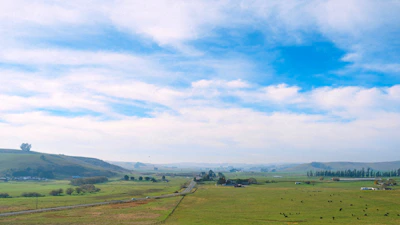 Wide view of the cattle farm with rolling hills and fences in the background.