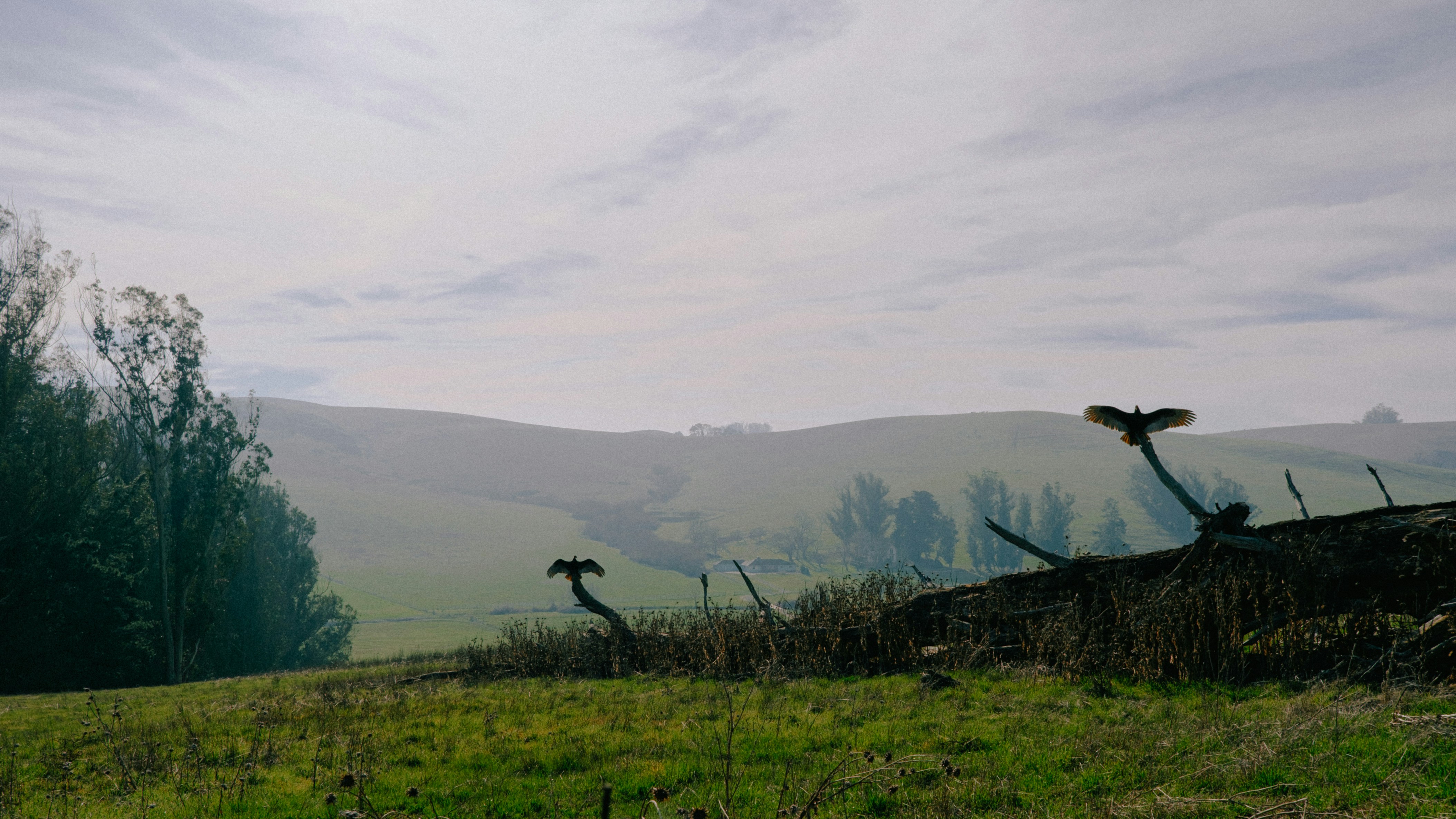 Photo by marsupialpudding