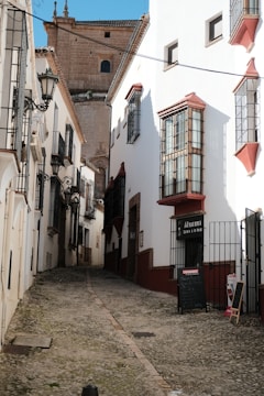 A winding cobblestone street lined with historic buildings.