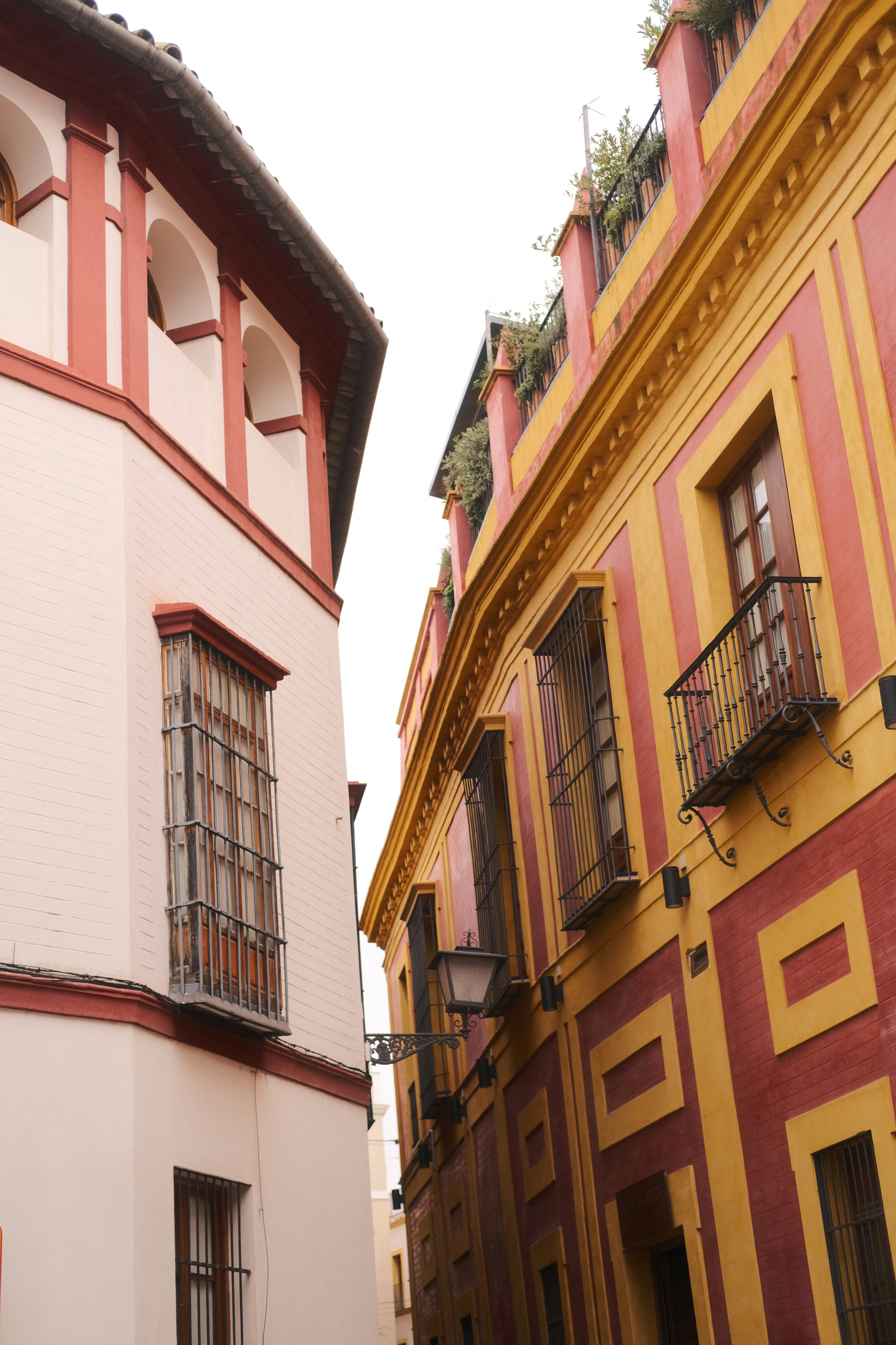 Photo by catherineplakhova