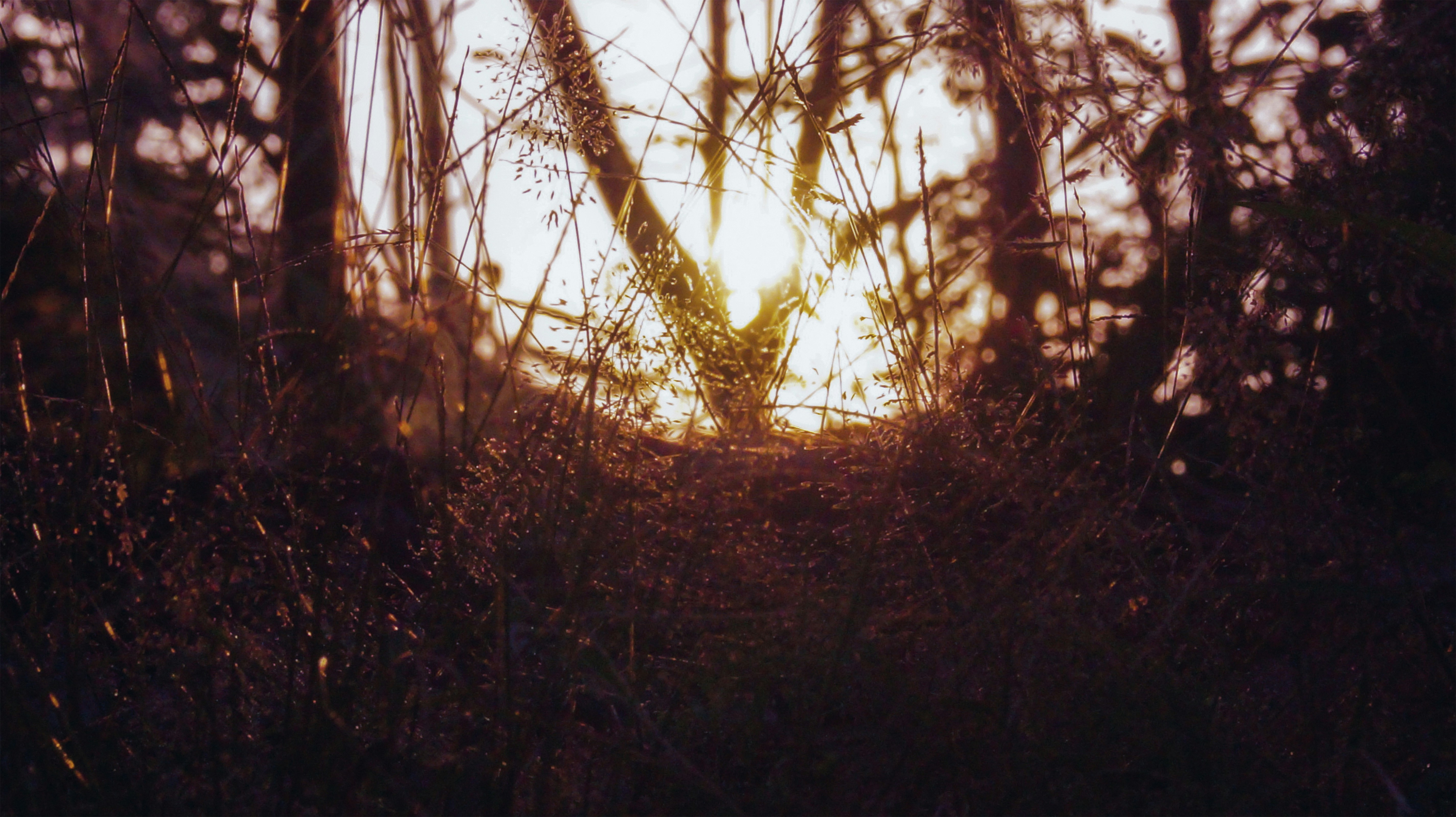 Photo by mocking_bird98