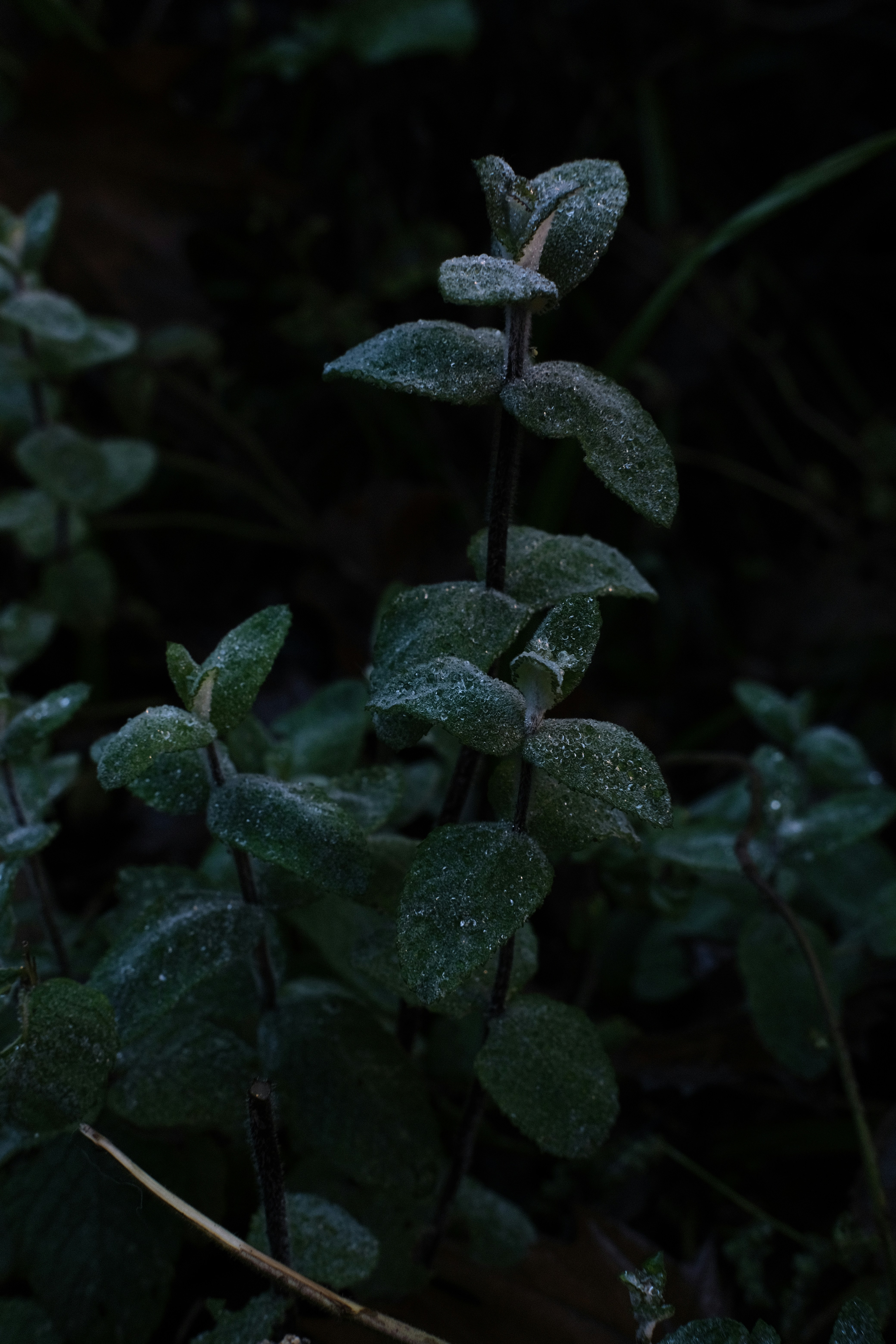 Photo by catherineplakhova