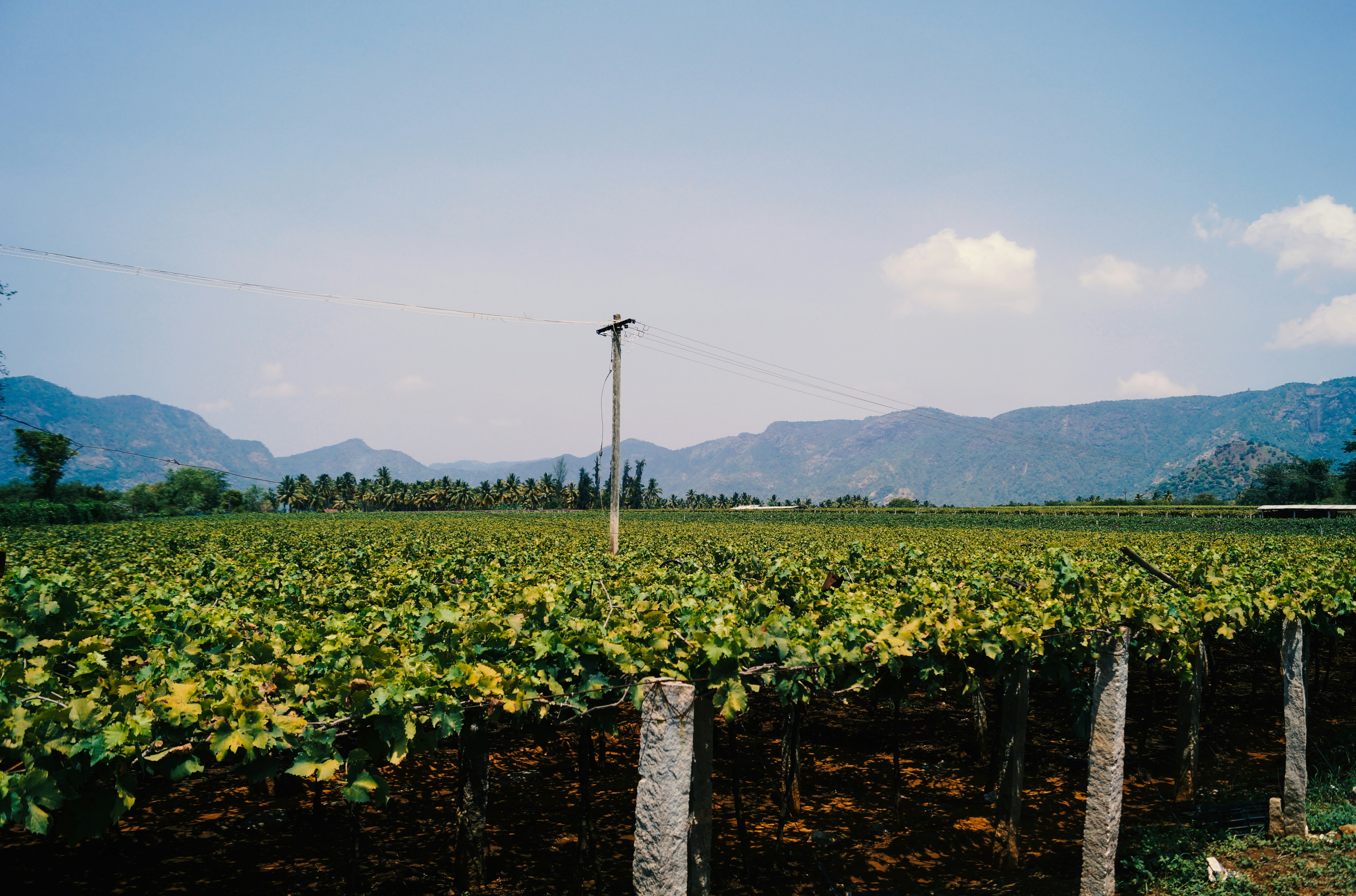 Photo by mocking_bird98