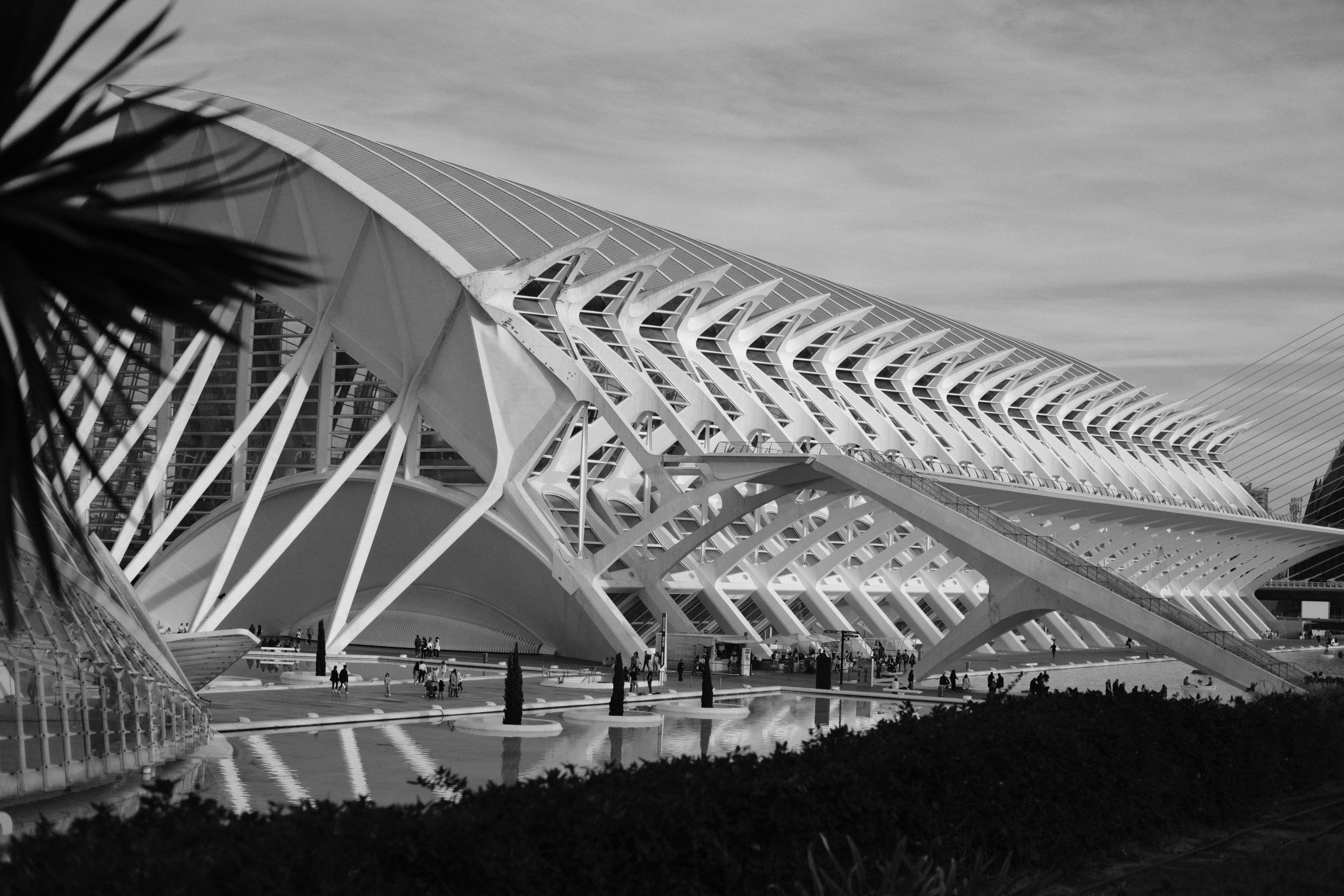 a black and white photo of a building