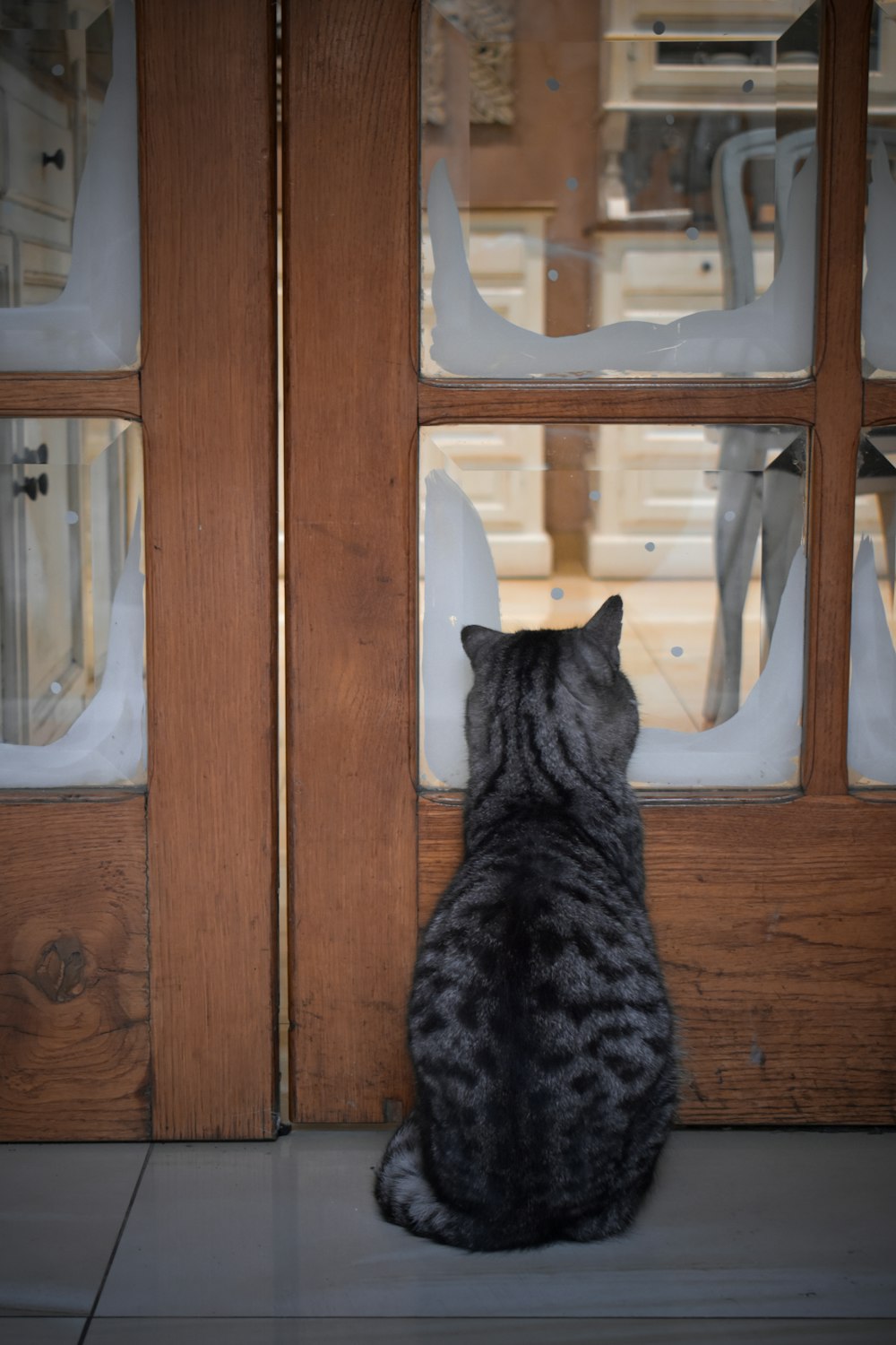 a cat sitting in front of a wooden door