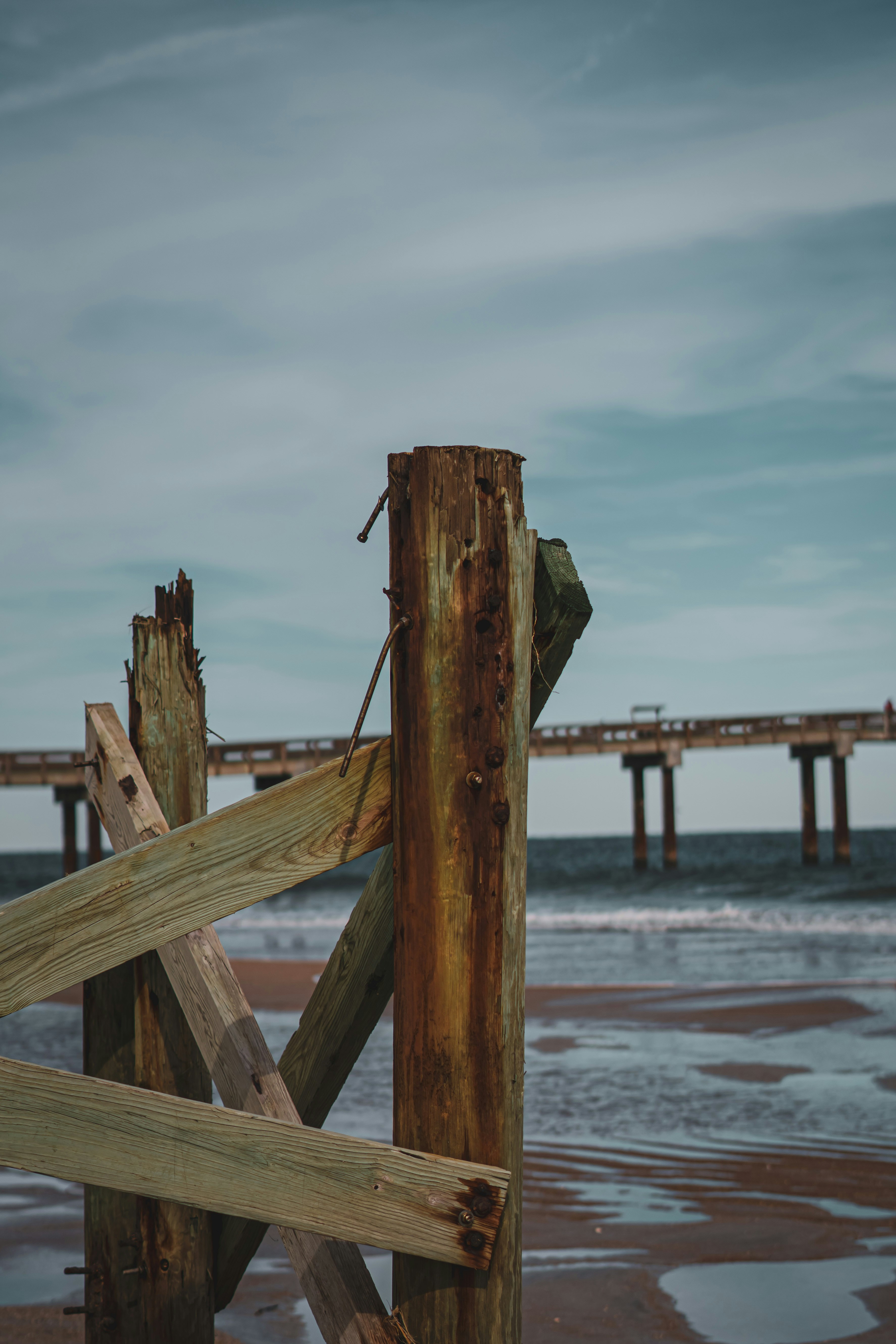 Photo by eli_armenteros