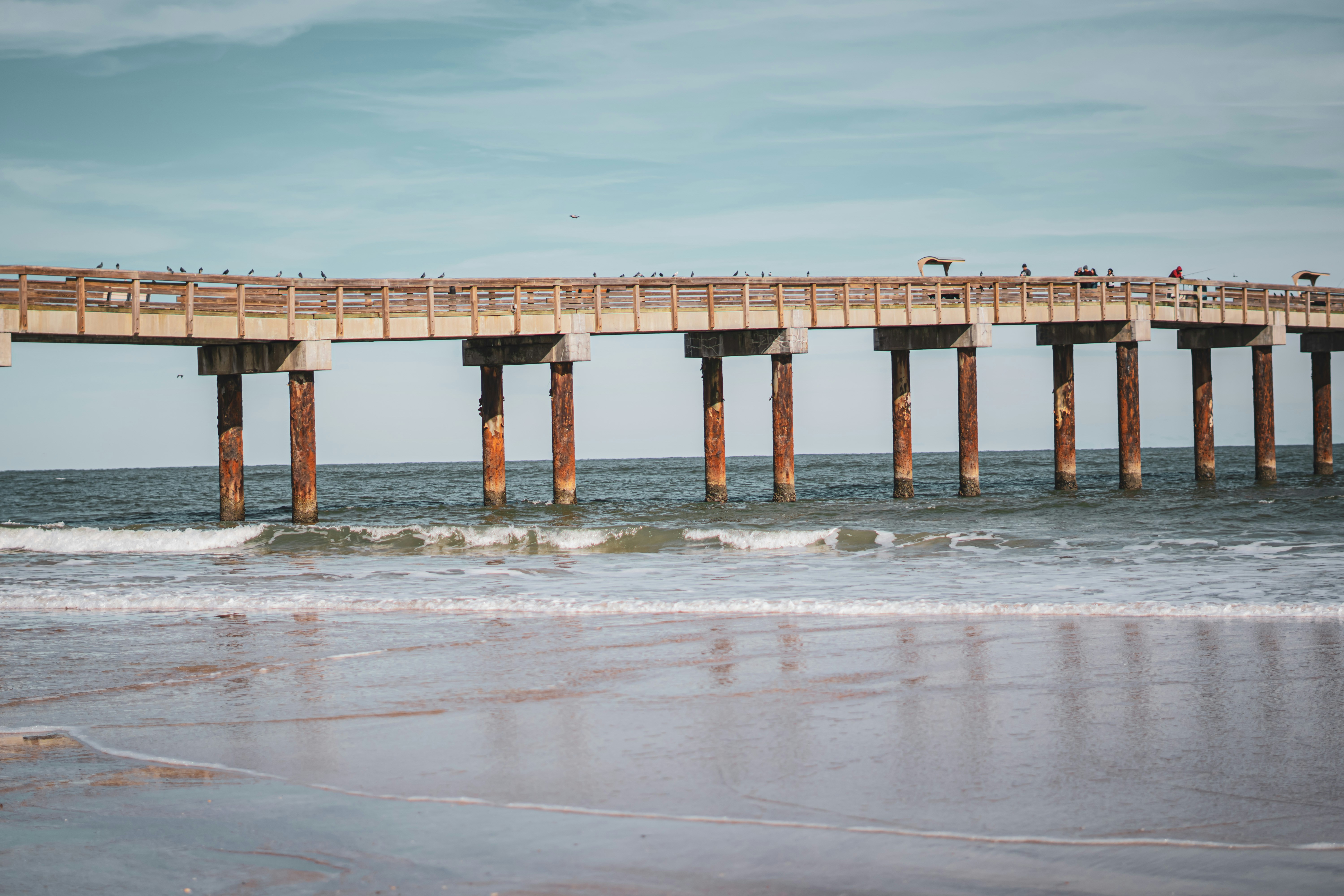 Photo by eli_armenteros