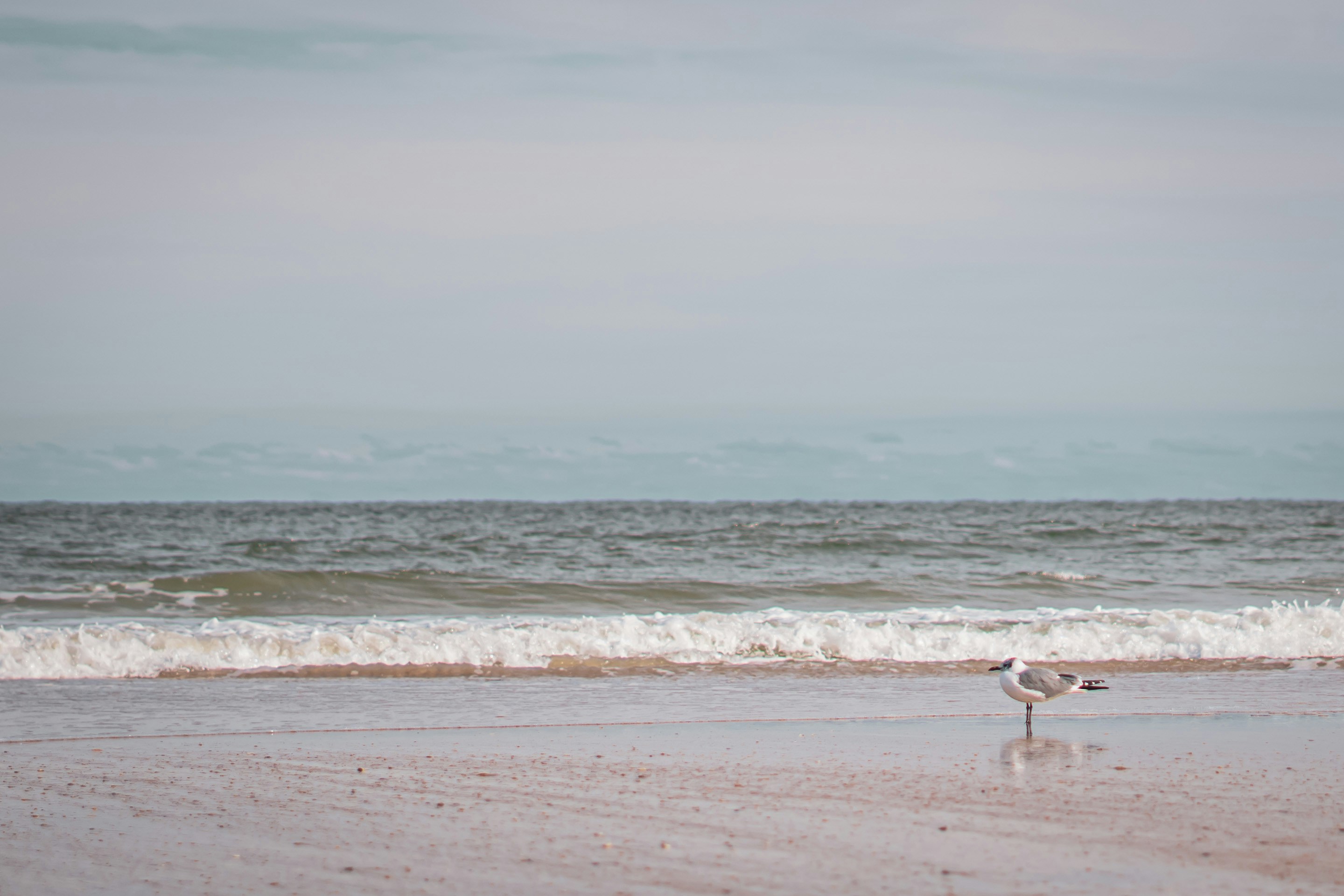 Photo by eli_armenteros