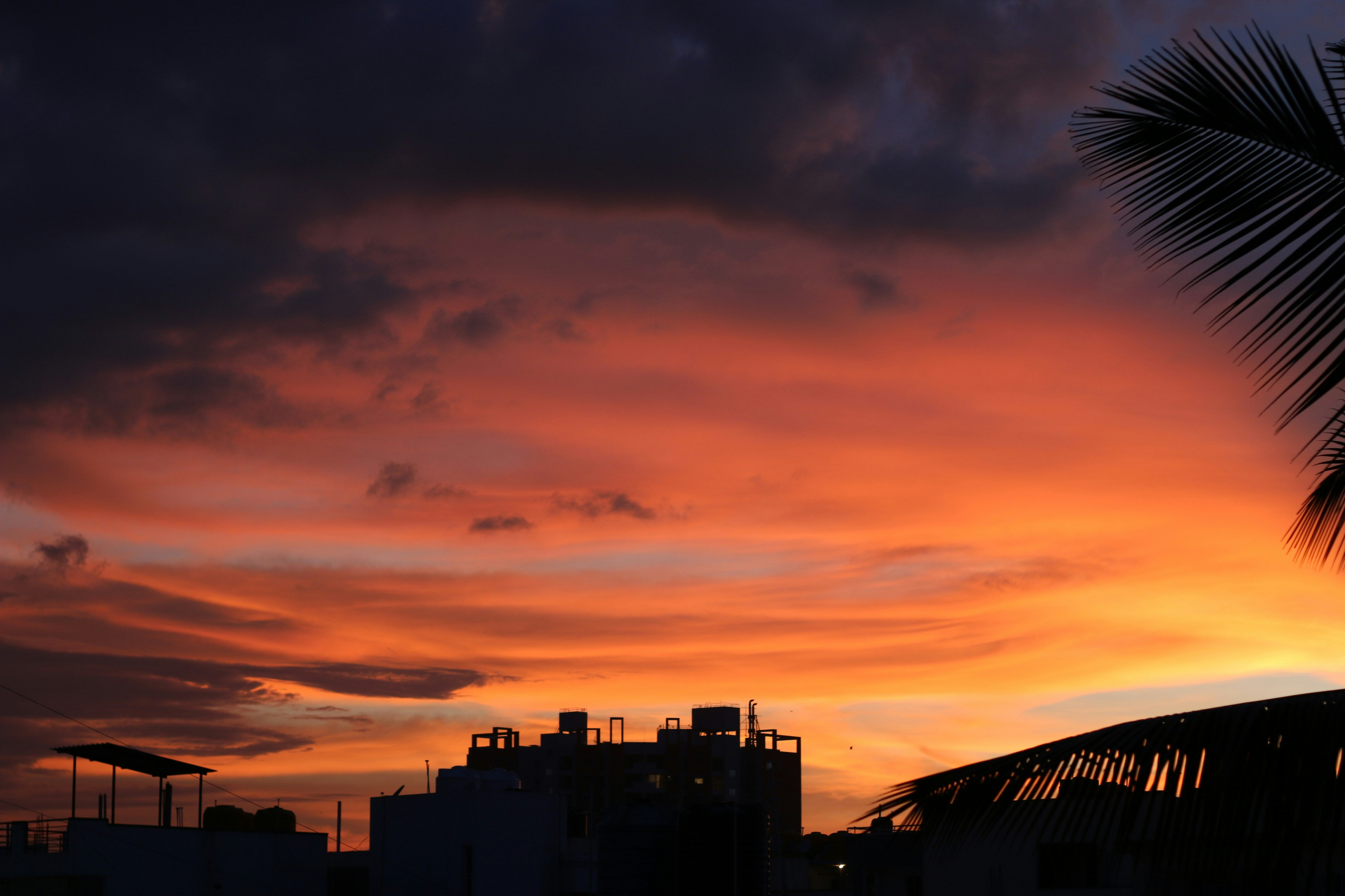 Photo by kannankanu
