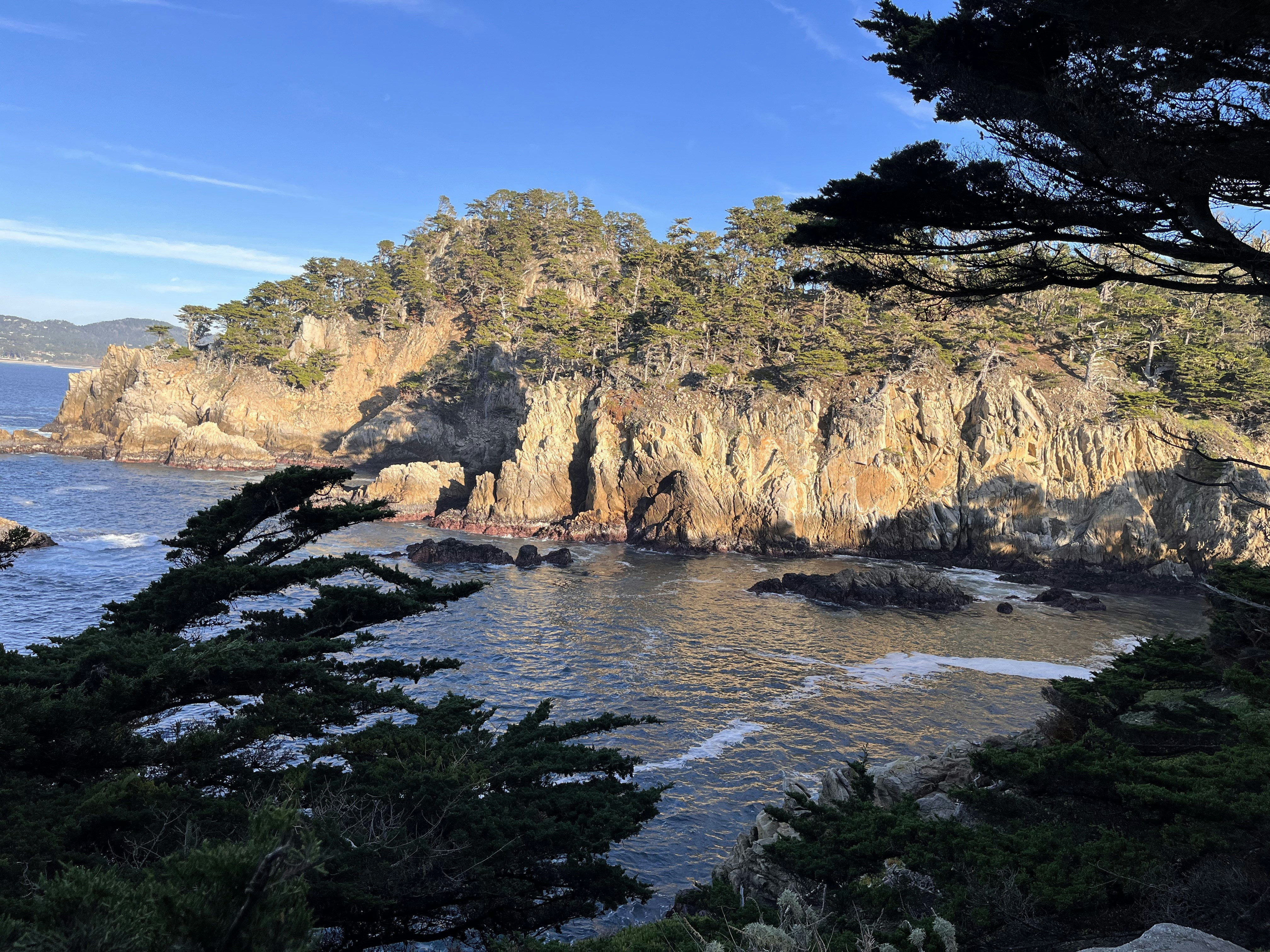 Photo by cristina_seaborn